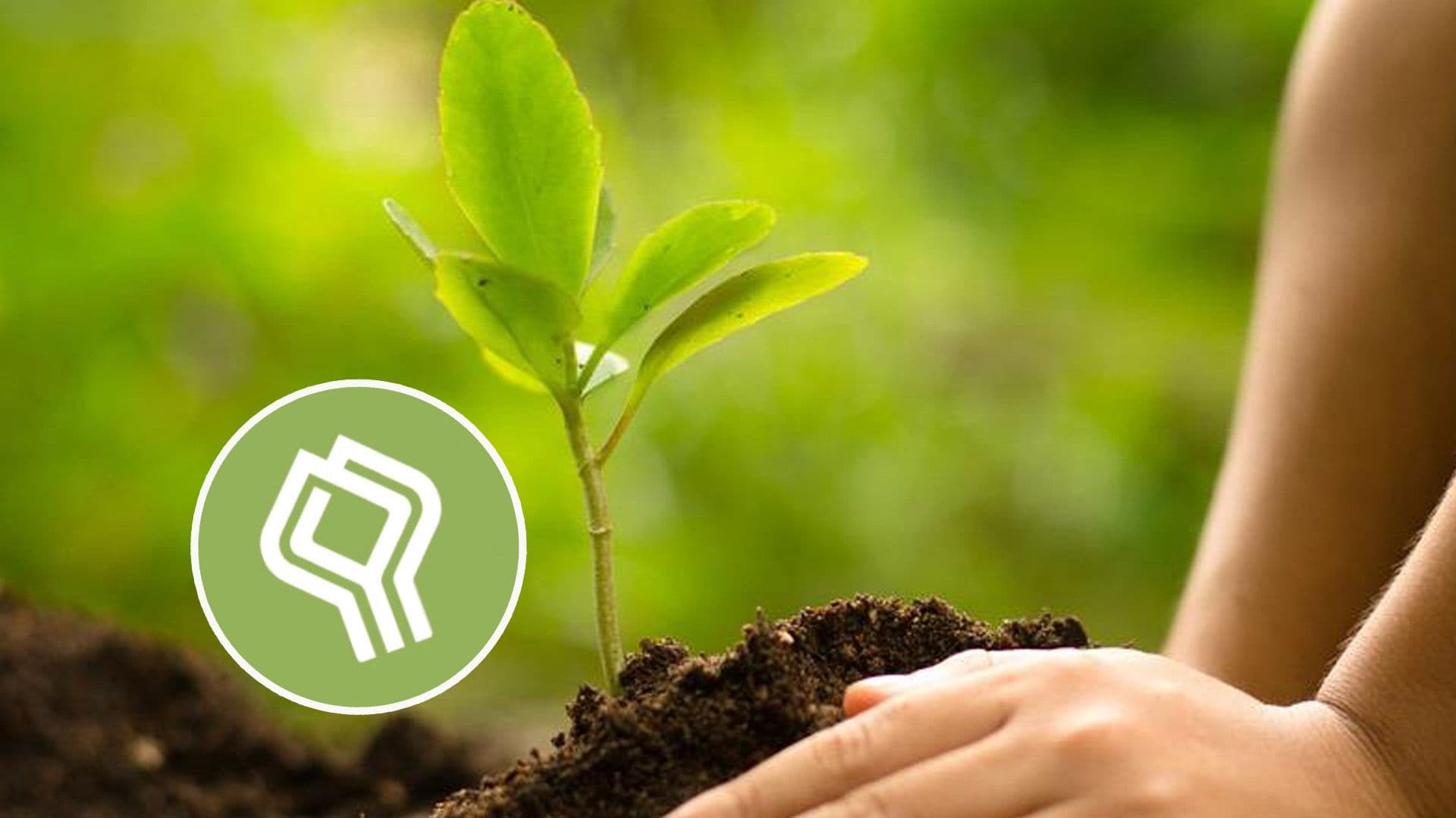 Over 2,000 Express Interest To Plant Over 115,000 Trees Across Malta