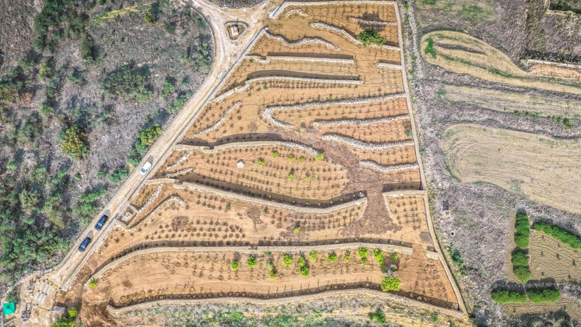 Ecological Restoration Project Inaugurated At Għammar Hill, Gozo