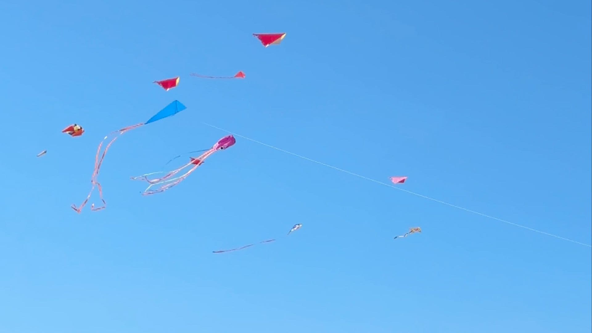 WATCH: International Kite And Wind Festival Returns To Gozo