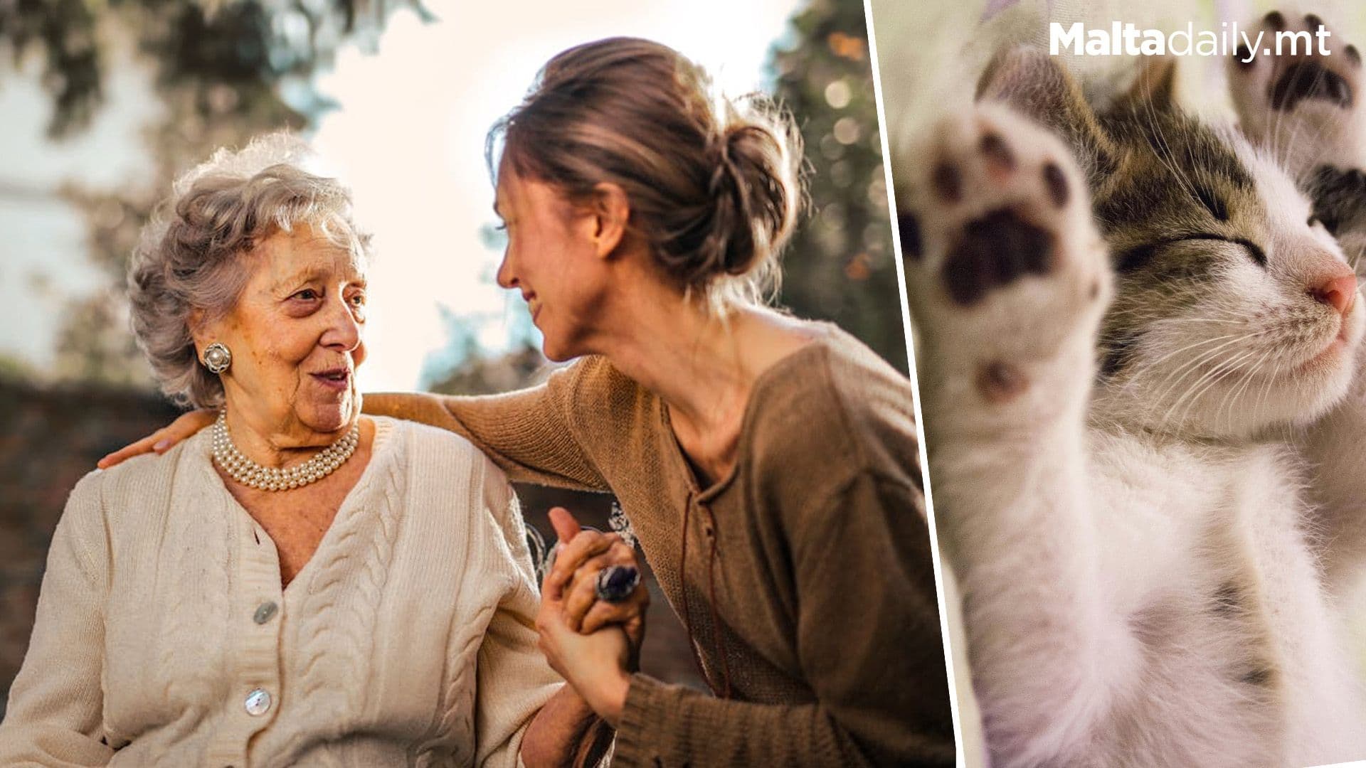 Cats Might Give Us The Cure To Alzheimers
