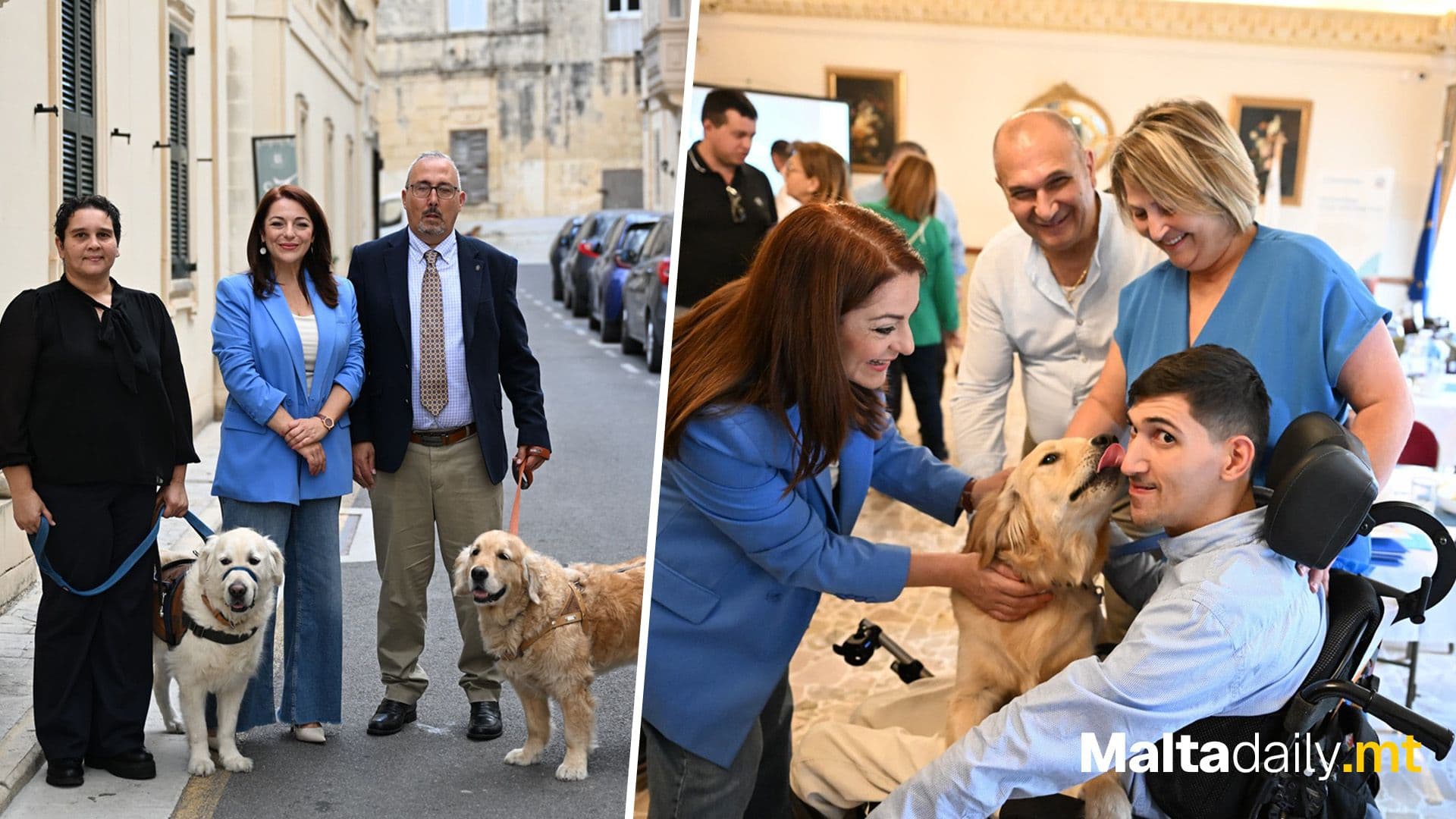 Government Allocates €15,000 To Train New Service Dog For People With Disabilities