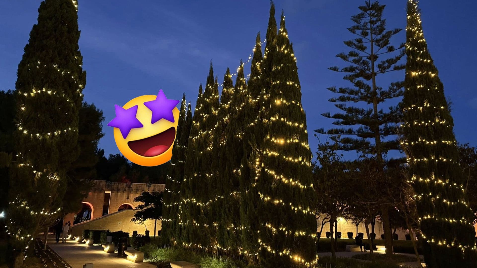 Ta' Qali National Park Officially Lights Up For Christmas