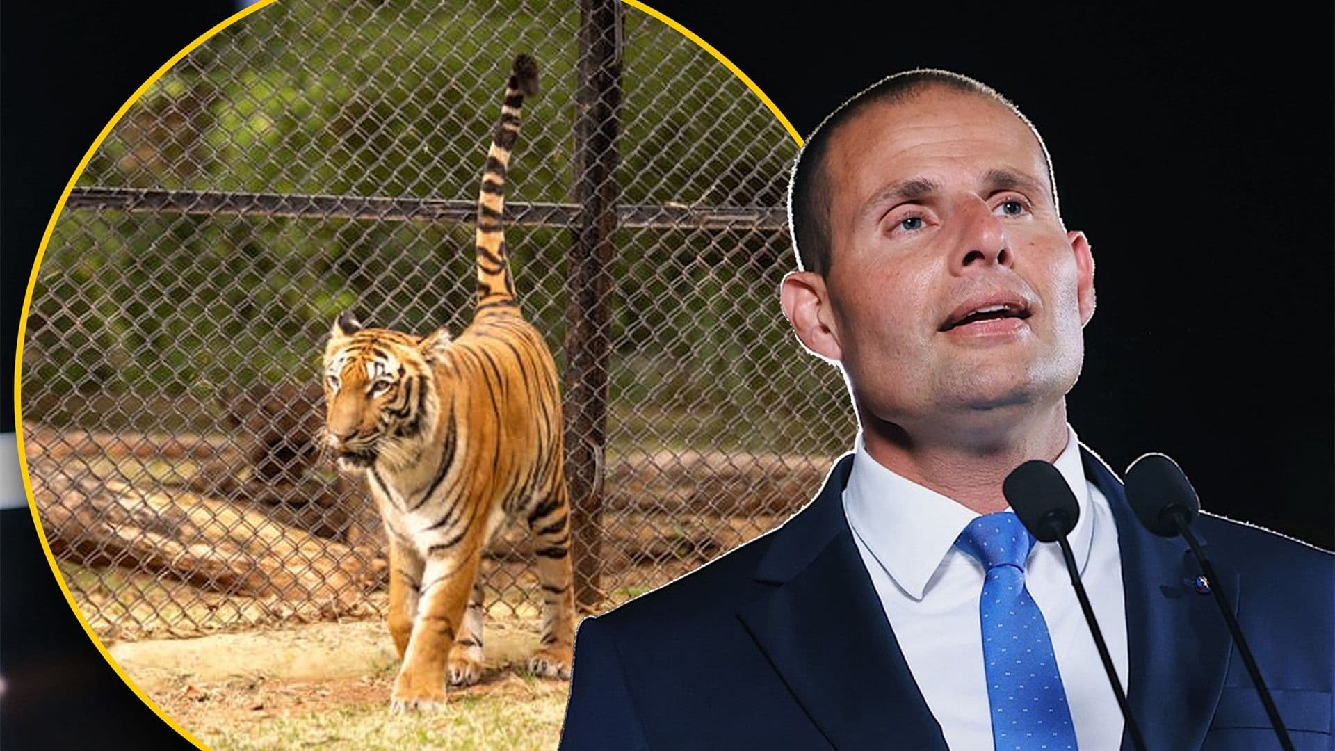 Labour Wants Dangerous Animals Gradually Removed From Malta’s Zoos & Says No New Zoos Will Be Allowed