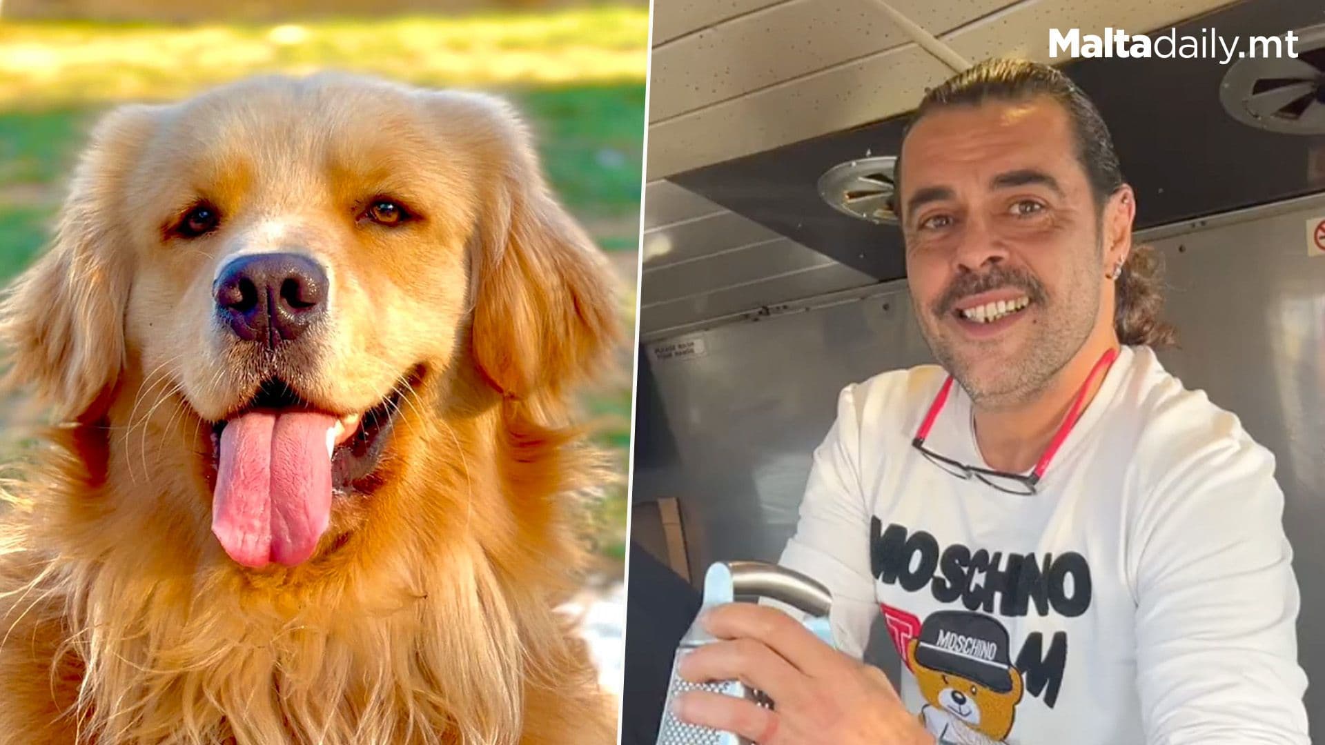 Two Of The Biggest Maltese Social Media Stars Meet