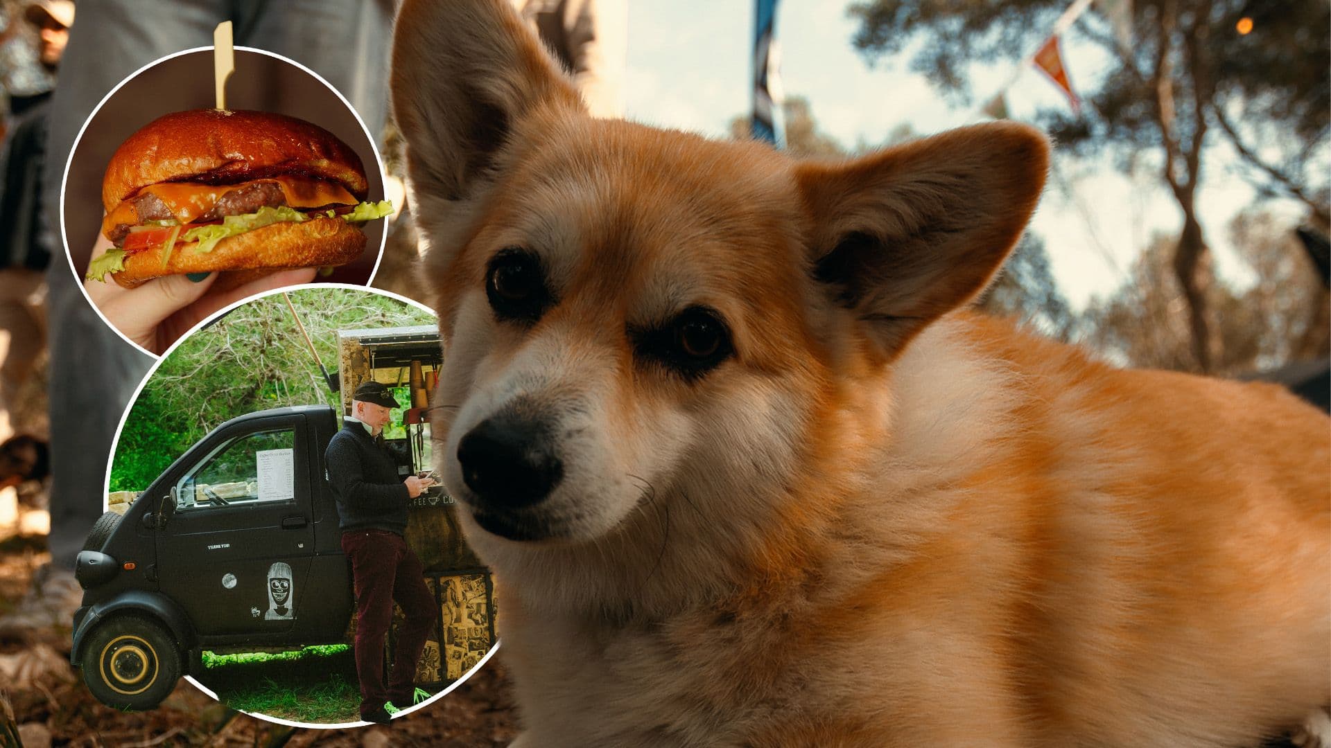 White Rocks Hosting One Of Malta’s Biggest Pet-Friendly Events This Weekend