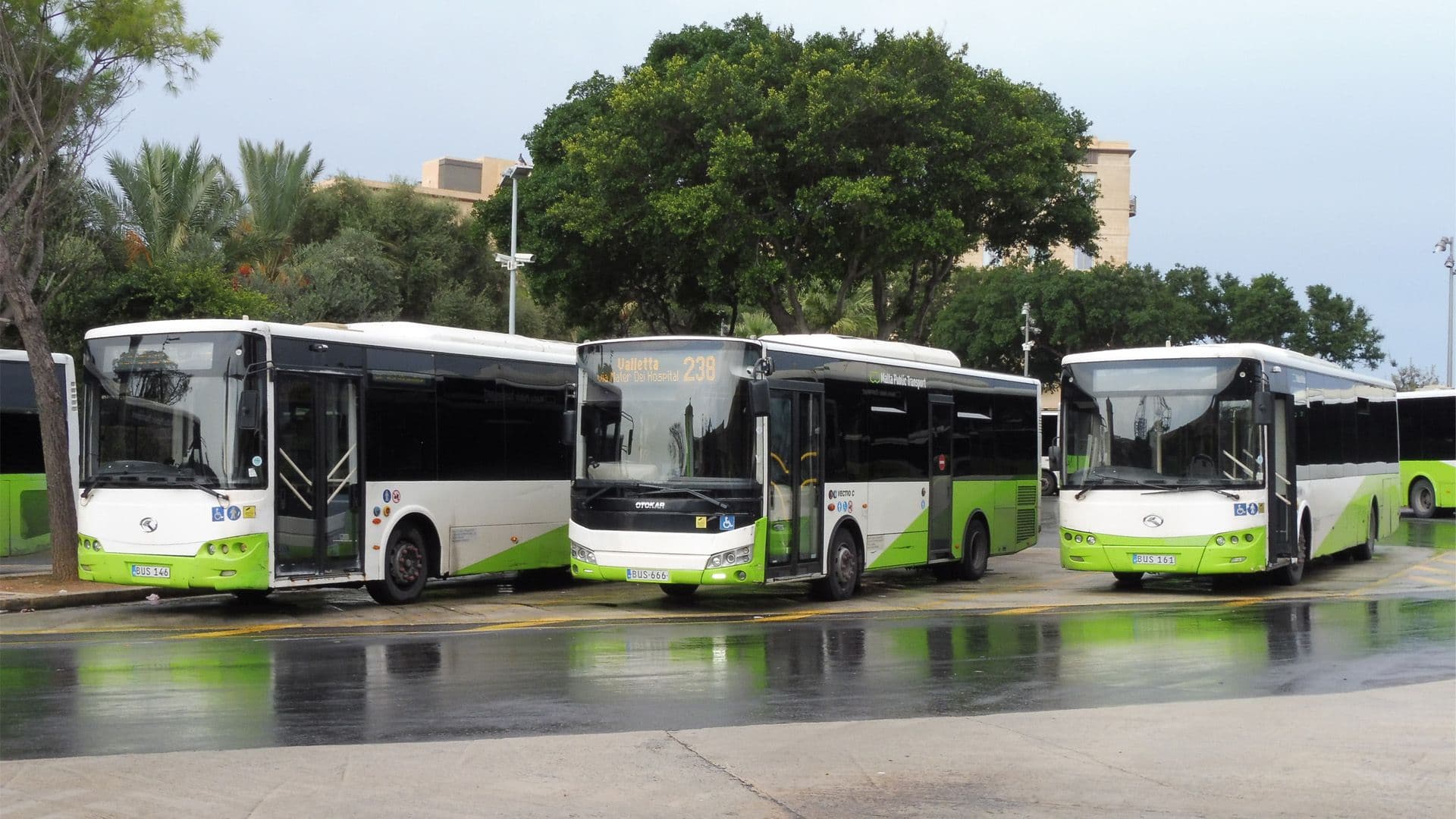 Over 6 Million Trips Using Public Transport Registered In Decmeber 2025