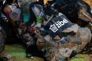 Meridianbet Supports Żibel in Environmental Mission