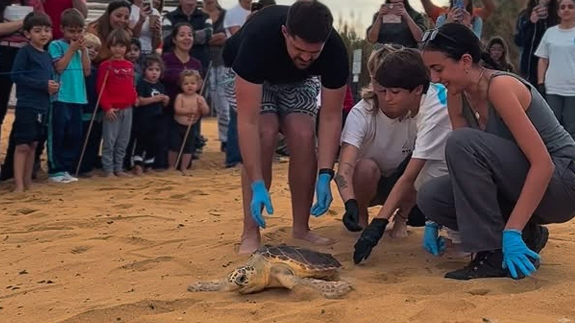Lil Zibz The Turtle Released After Being Rescued By NGO Żibel