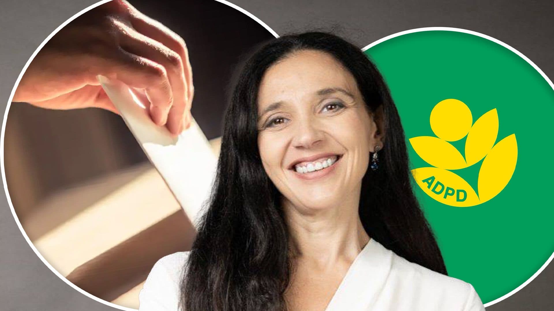 ADPD Calls for Embassy or Electronic Voting for Maltese Citizens Abroad