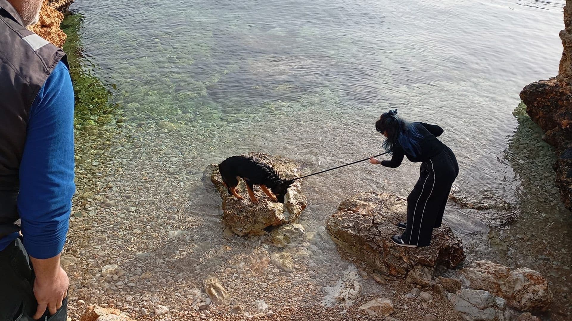 Dog Rescued After Jumping Into Sea In Buġibba