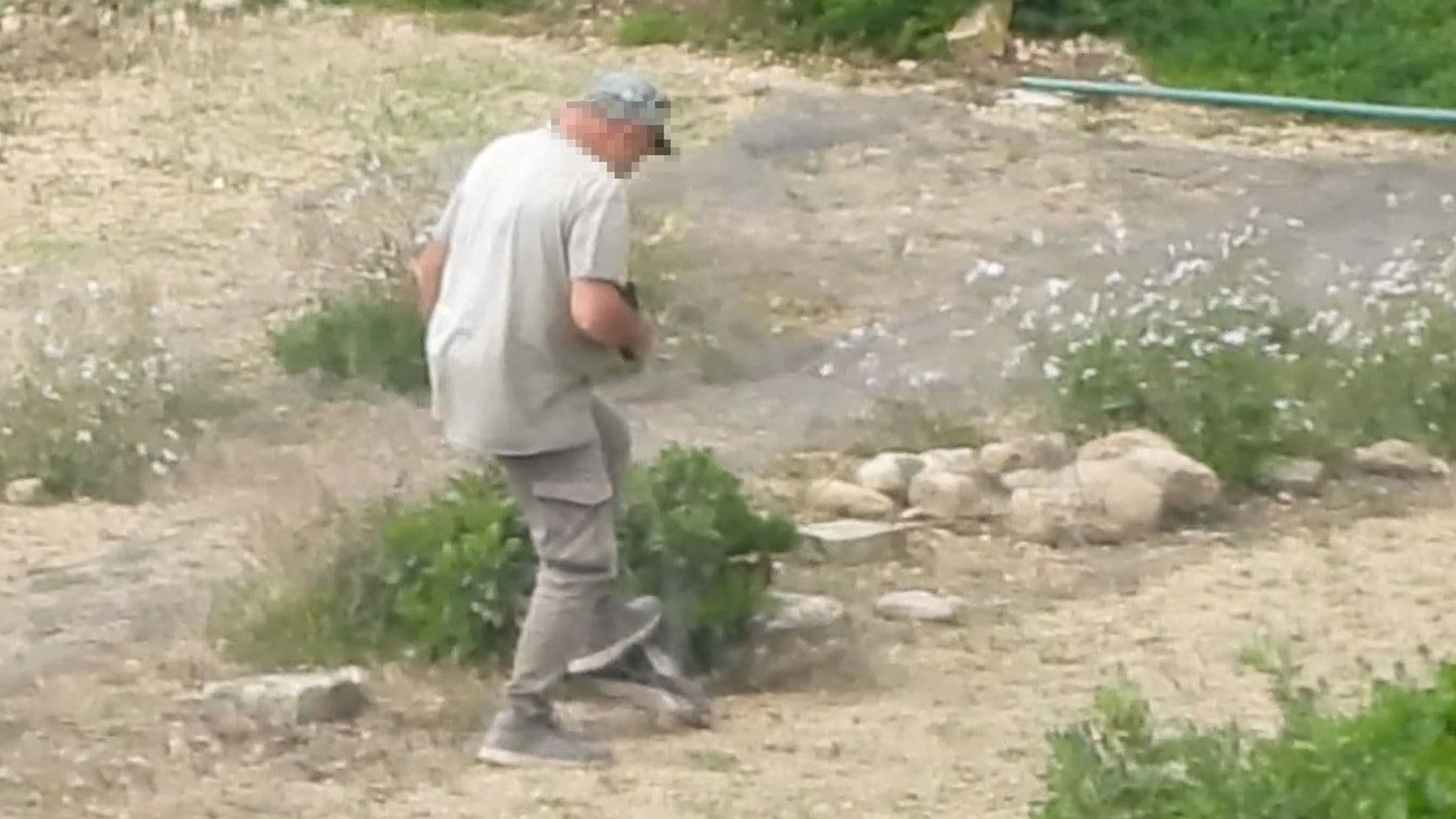 Local Trapper Filmed Catching & Brutally Killing Protected Kestrel
