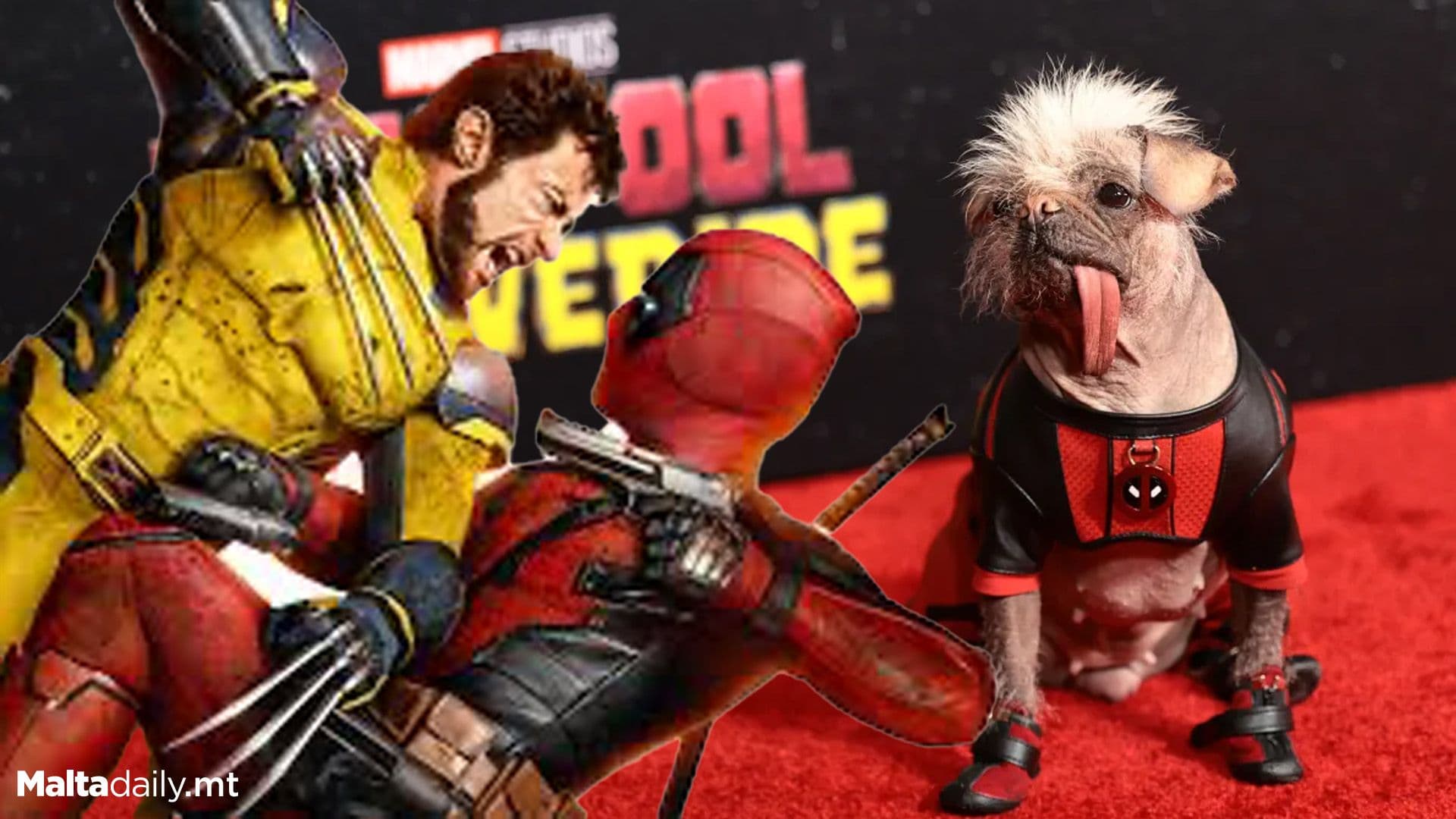 Peggy’s red carpet journey from ‘Britain’s Ugliest Dog’ to ‘Deadpool’