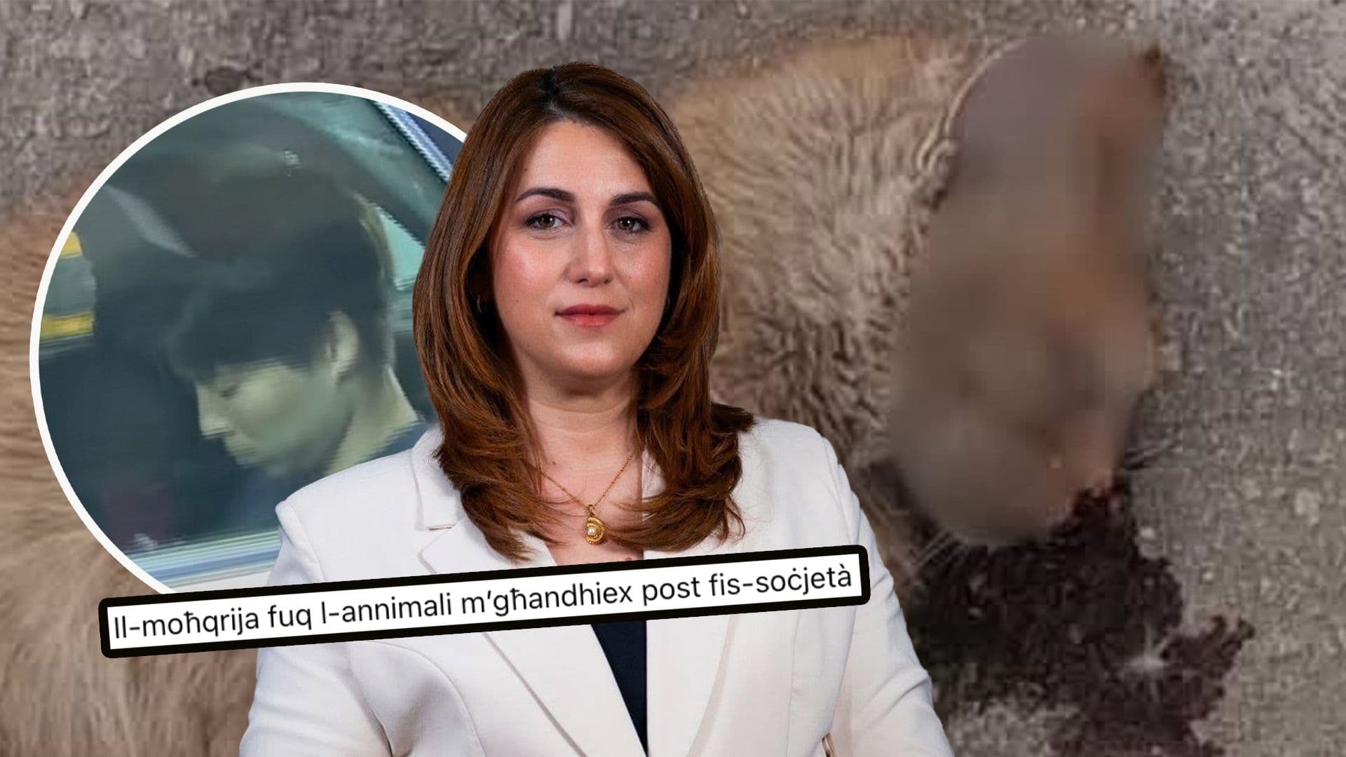 Sliema Cat Killer Loses Appeal Against Prison Sentence: Parliamentary Secretary Welcomes Ruling
