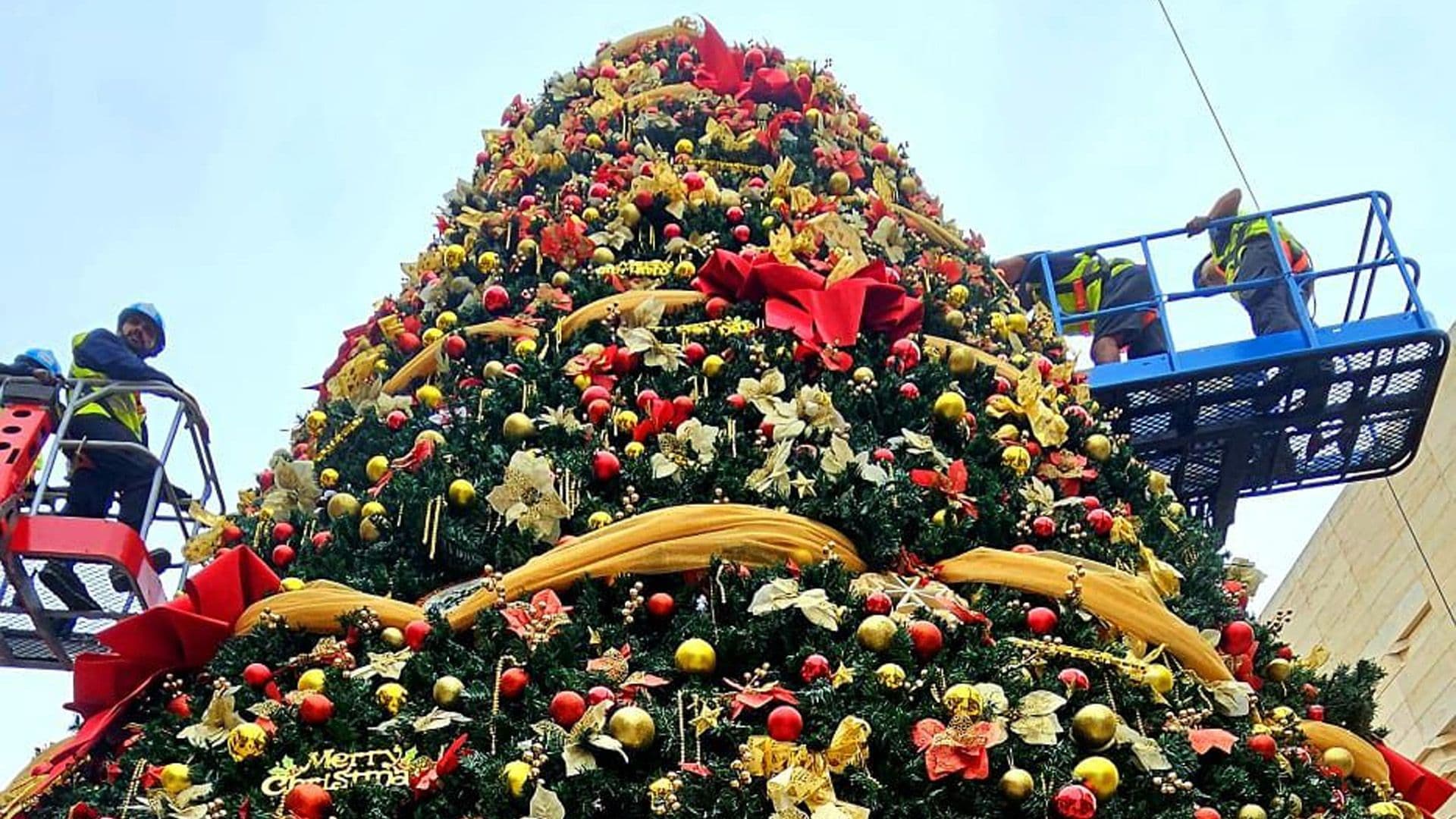 Watch: Henry Galea's Christmas Tree In The Making