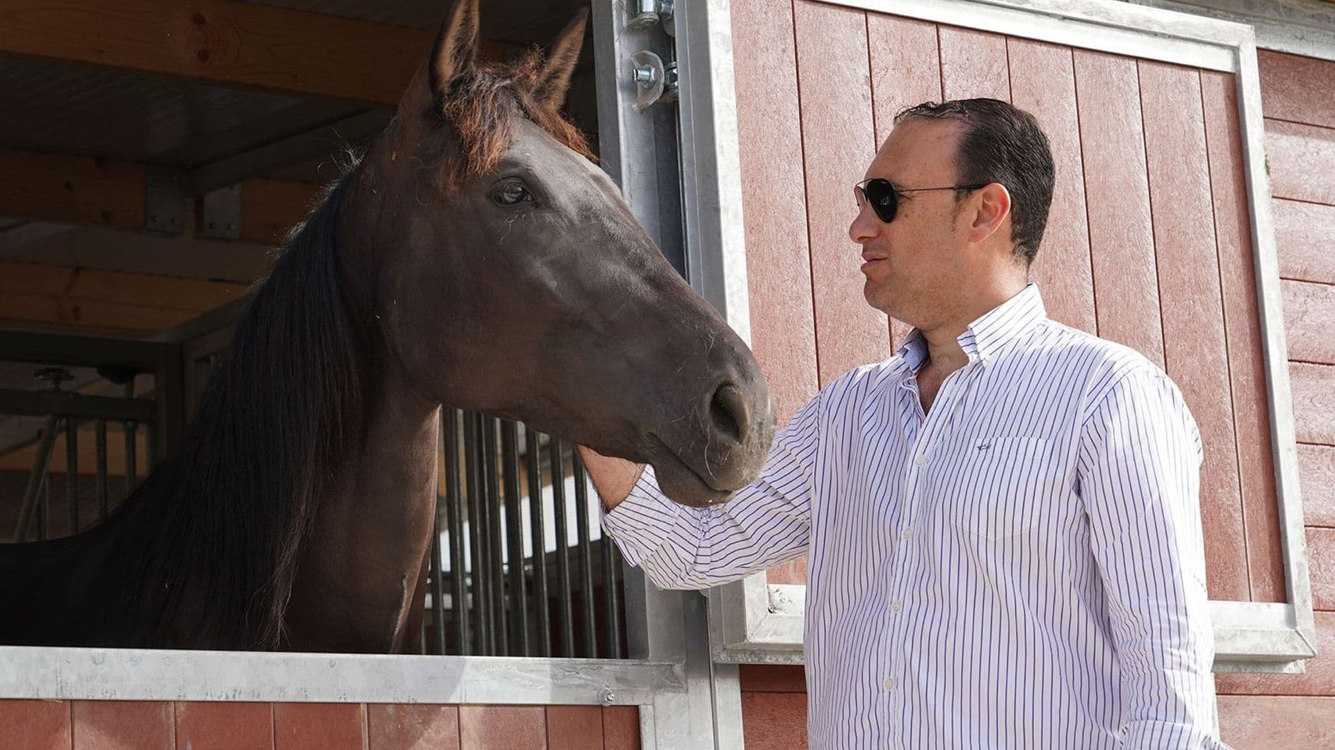 EquestriMalta Launches New Facilities For Retired Sport Horses