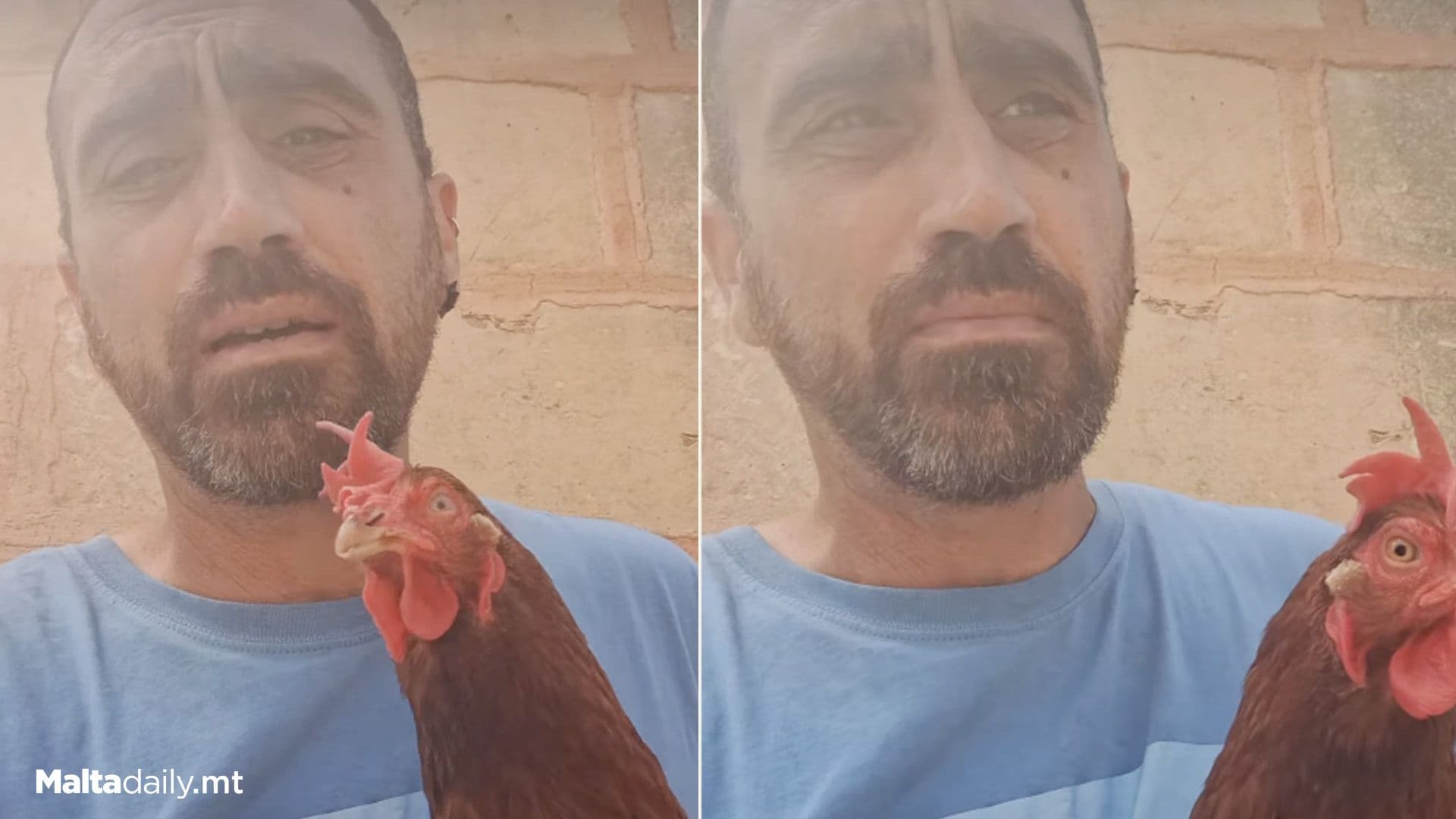 Exterminator Appeals For People To Stop Letting Birds Loose