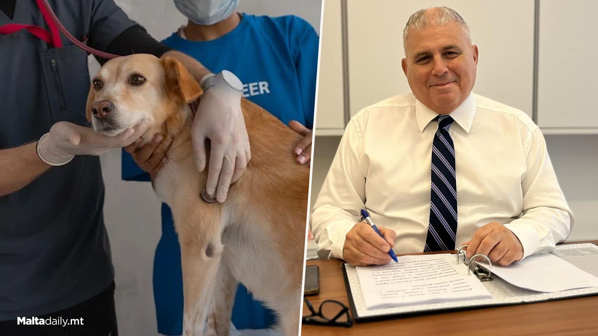 24/7 Emergency Veterinary Services Launched