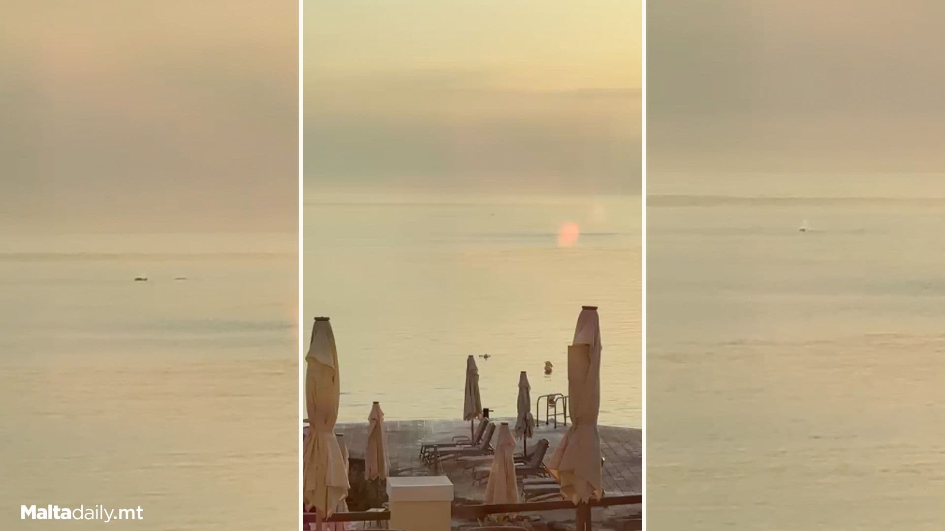 WATCH: Dolphins Swim In Maltese Waters At Sunrise