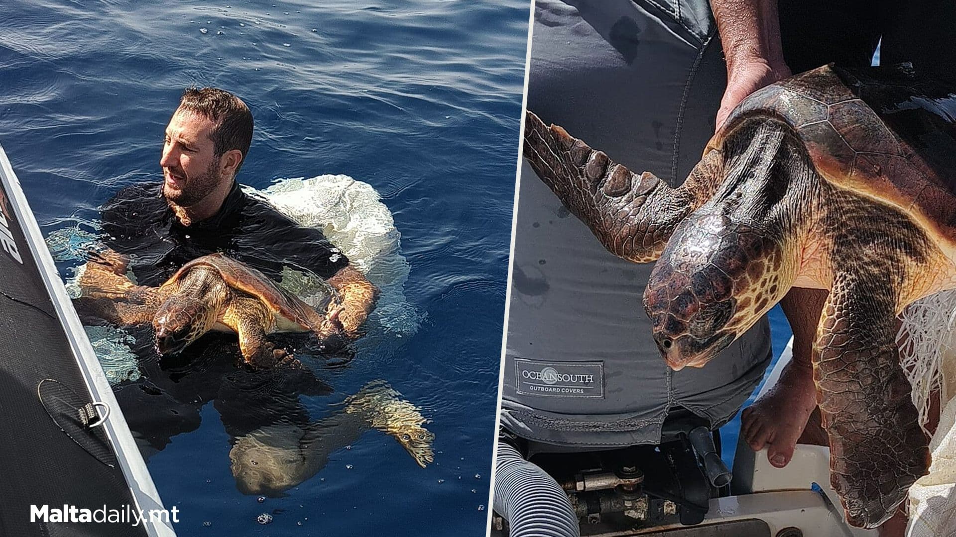 Young Turtle Tangled In Jumbo Bag Rescued In Local Waters