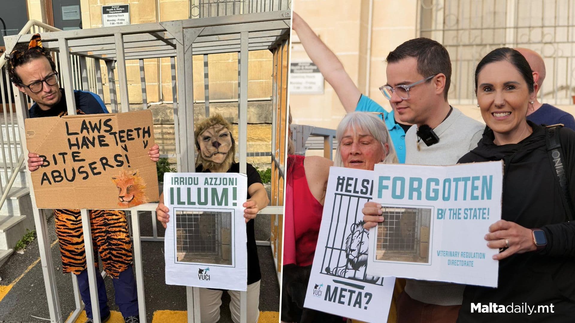 Roaring For Freedom: Protest To Free Captive Lions, Panther