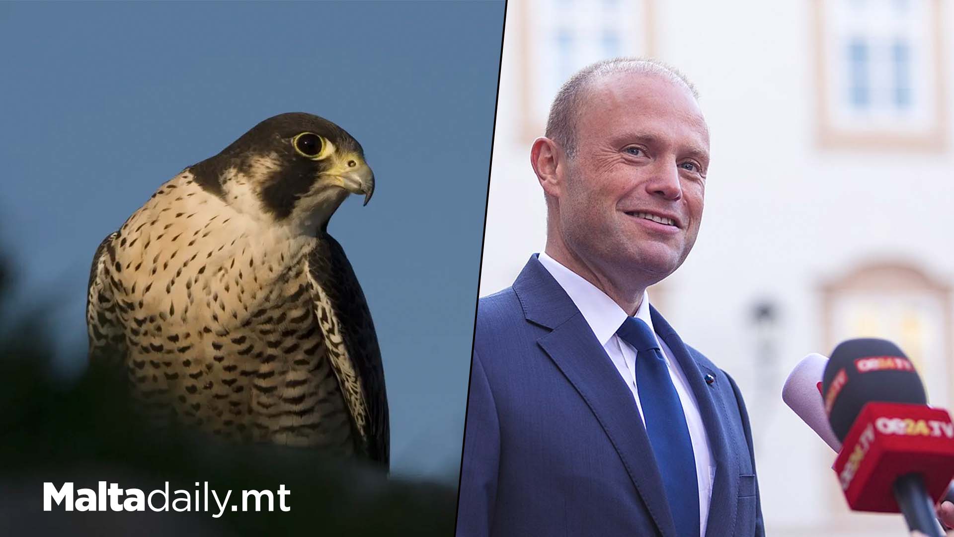 Joseph Muscat Suggests Maltese Falcon For New League Logo