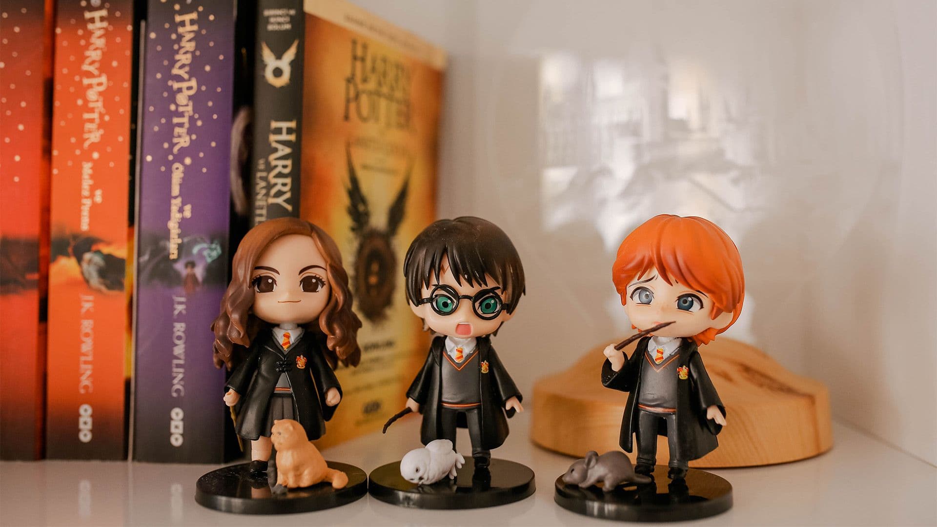 Today Is Harry Potter Book Day