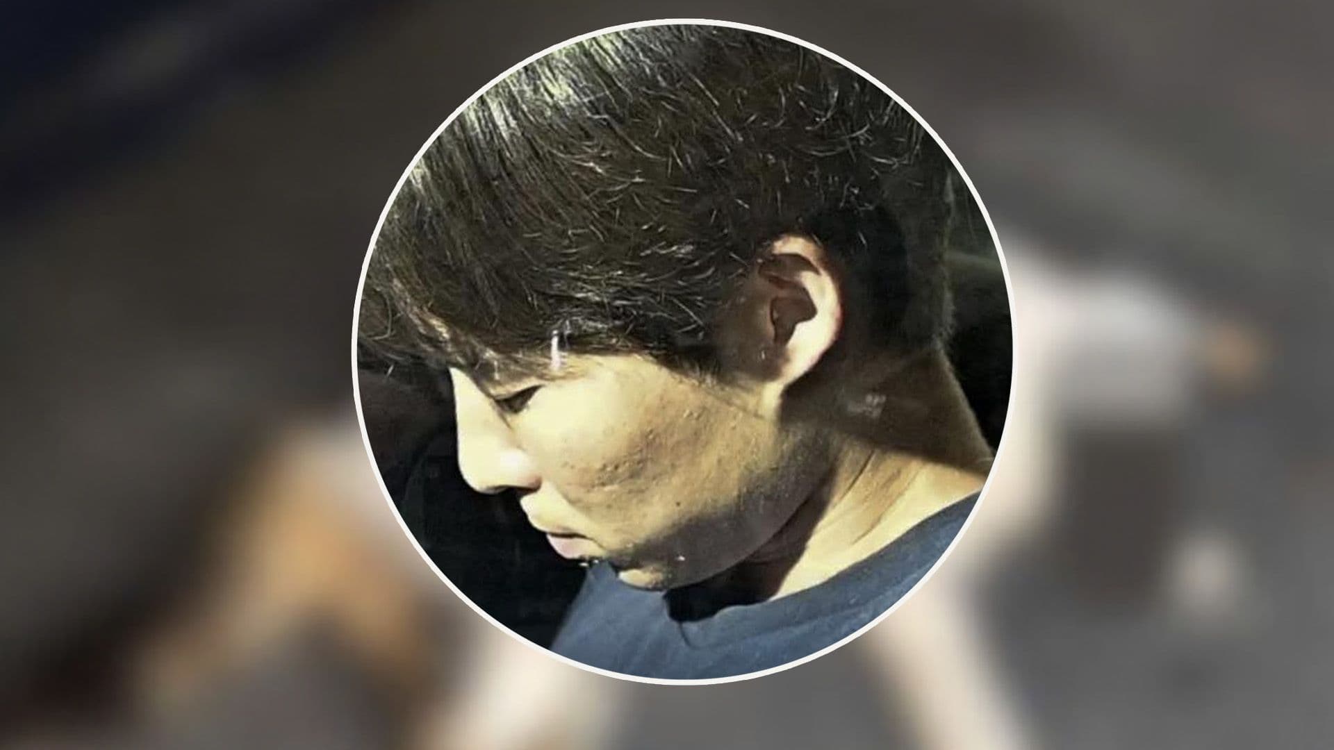 Sliema Cat Killer Sentenced To 2 Year Jail Sentence