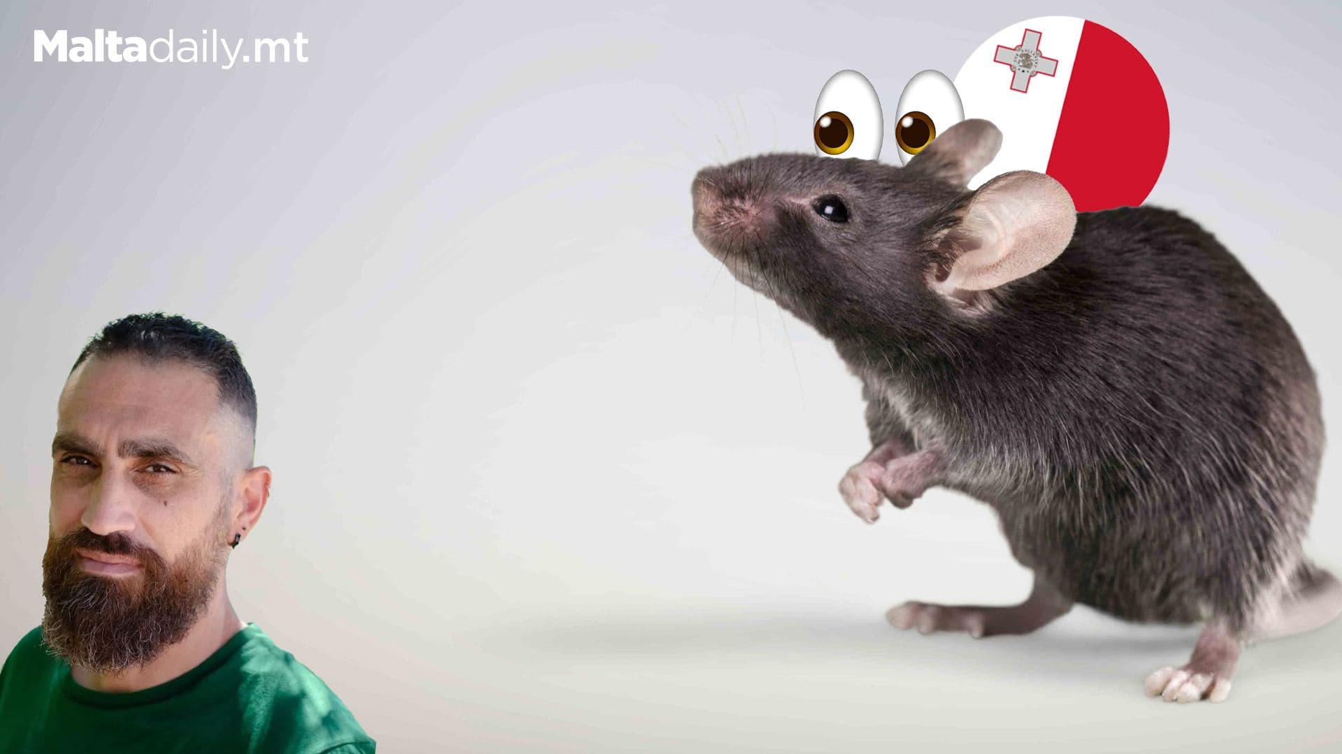 Why Are There So Many Rodents Running Around Malta?