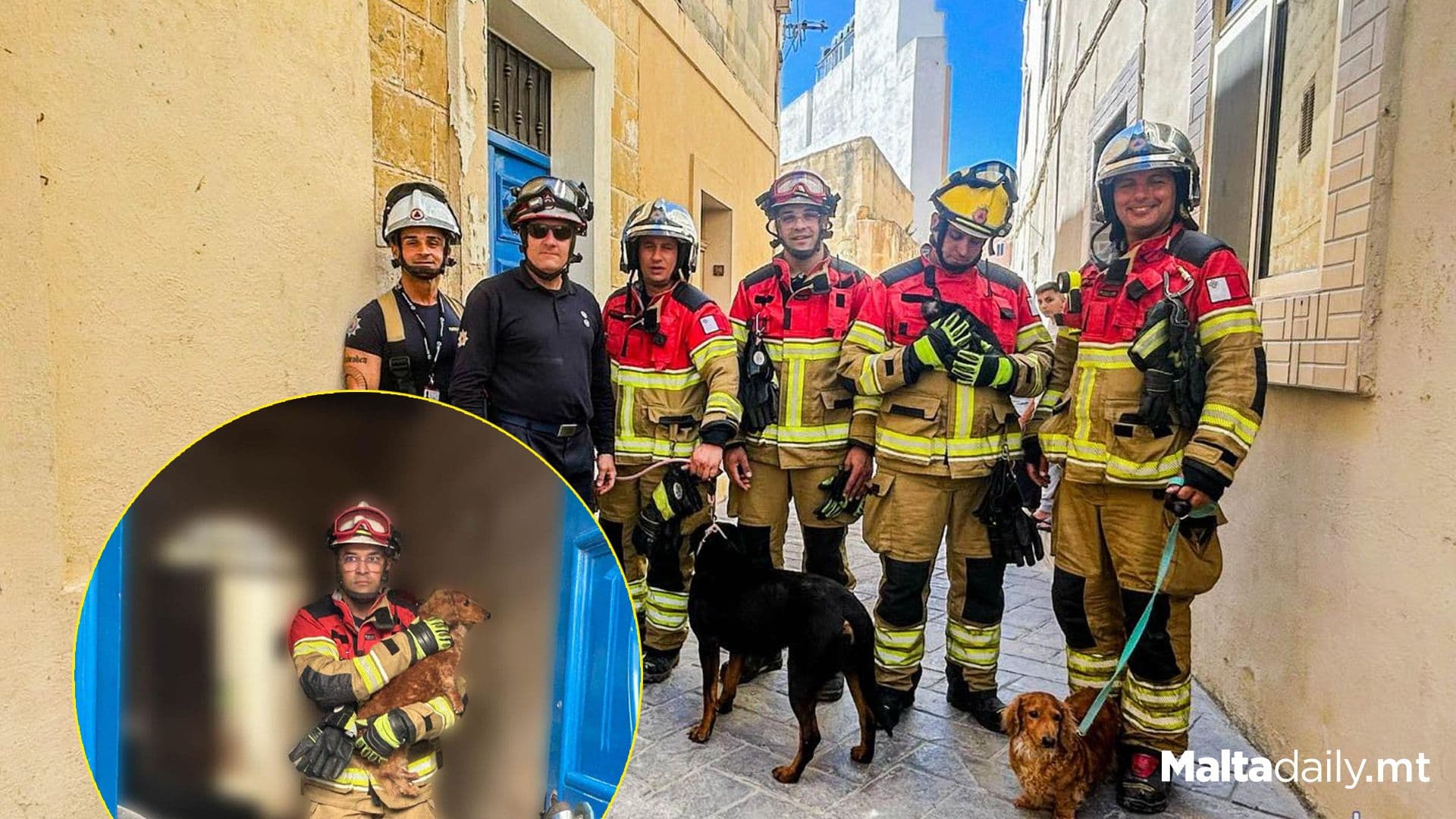 3 Dogs Rescued In Civil Protection Malta Search And Rescue Mission