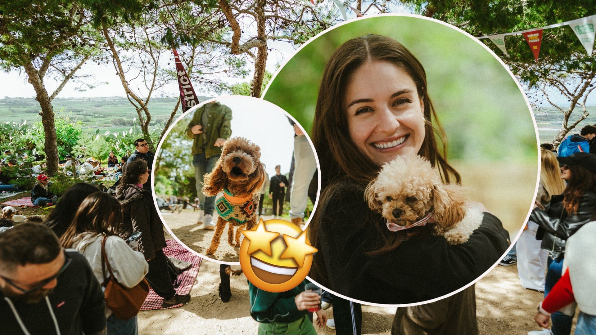 The Big Picnic Party Is Back This Sunday!