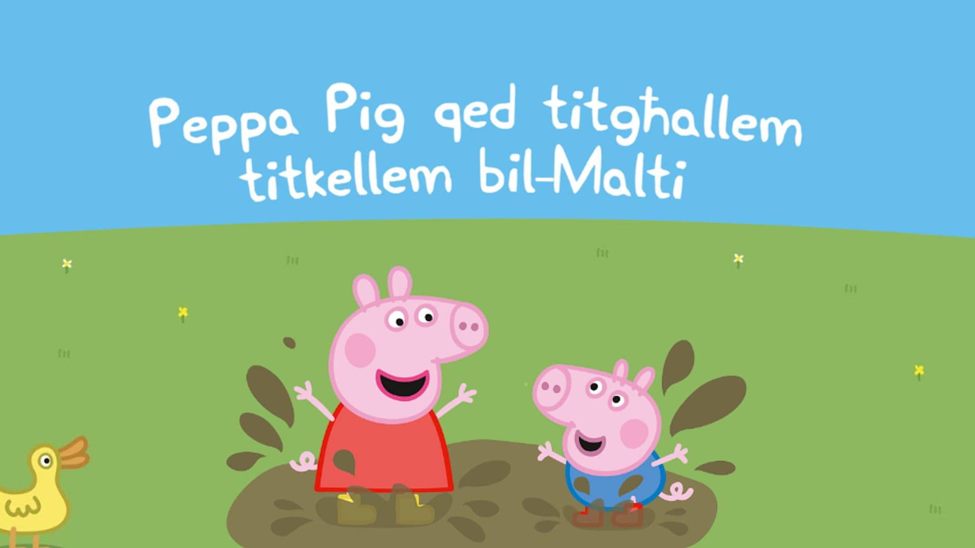 Unveiling ‘Peppa Pig Bil-Malti’