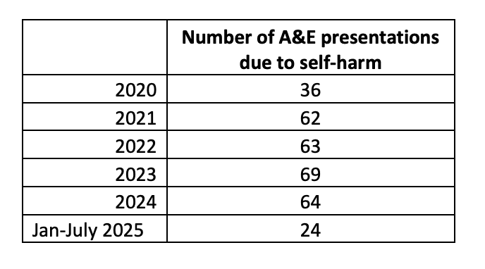 Over 300 Children & Teenagers Treated In Maltese Hospitals For Self-Harm Since 2020