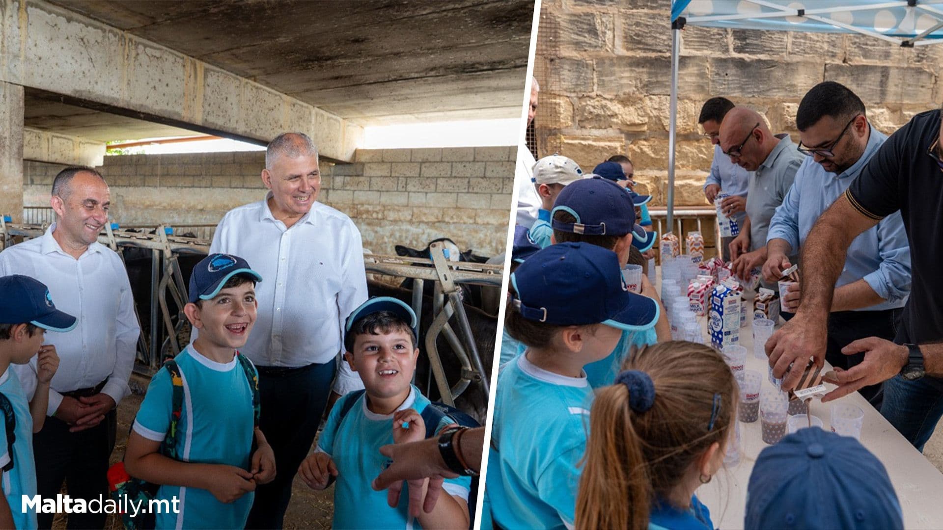 World Milk Day: Educational Event Held at Gozo Farm