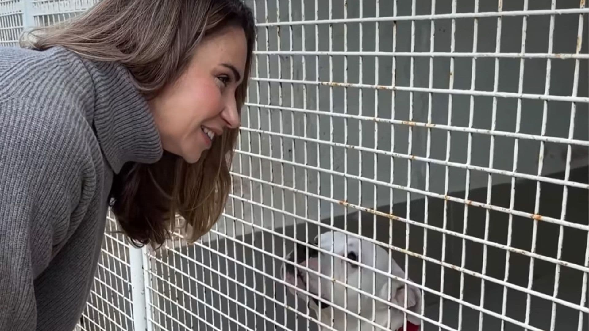 DR LYDIA ABELA SUPPORTS ANIMALS THROUGH RIGAL B’IMĦABBA B’DIFFERENZA INITIATIVE