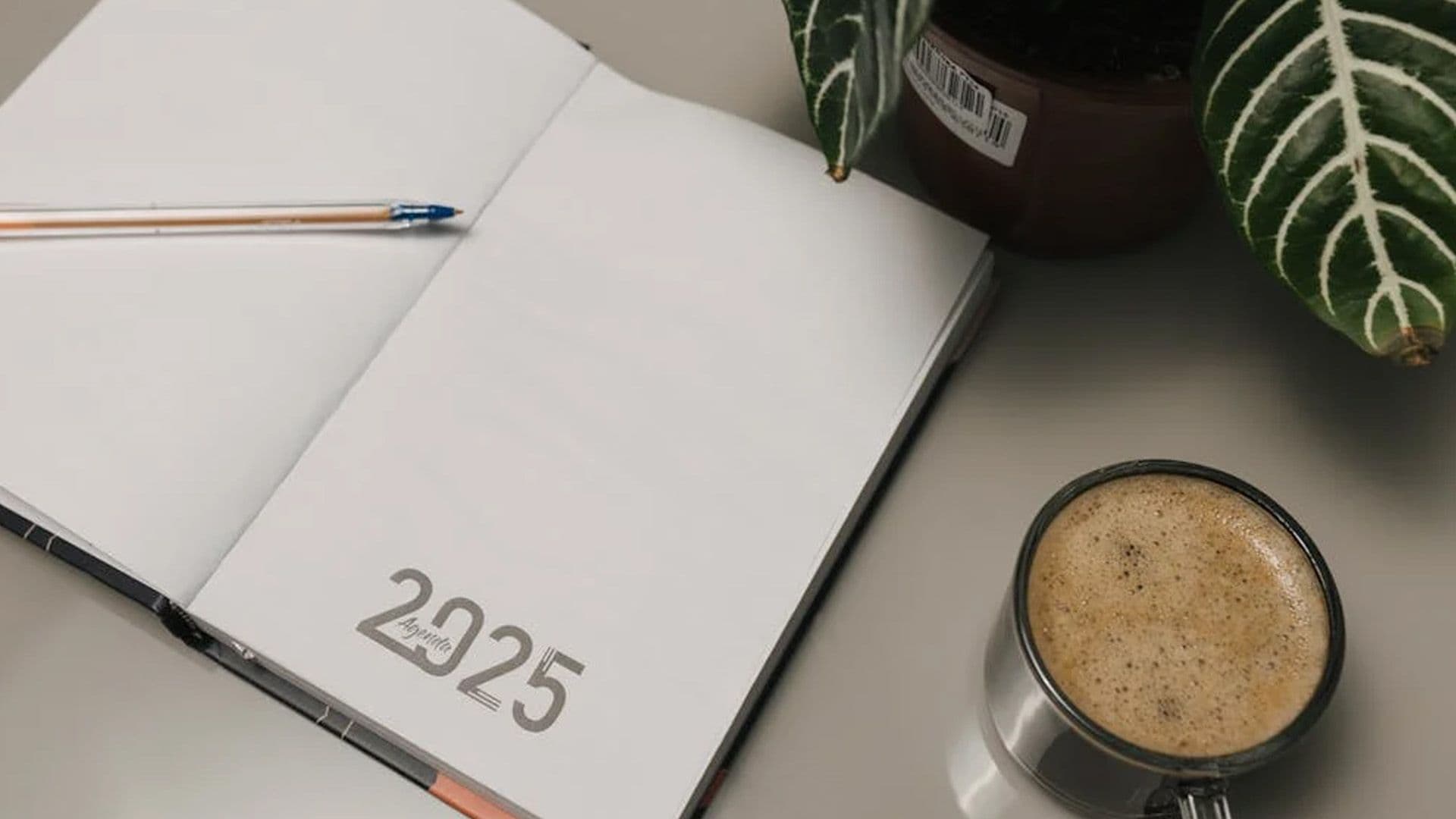 Dream Of Starting A Business? Malta Business Registry Is Here To Guide You!