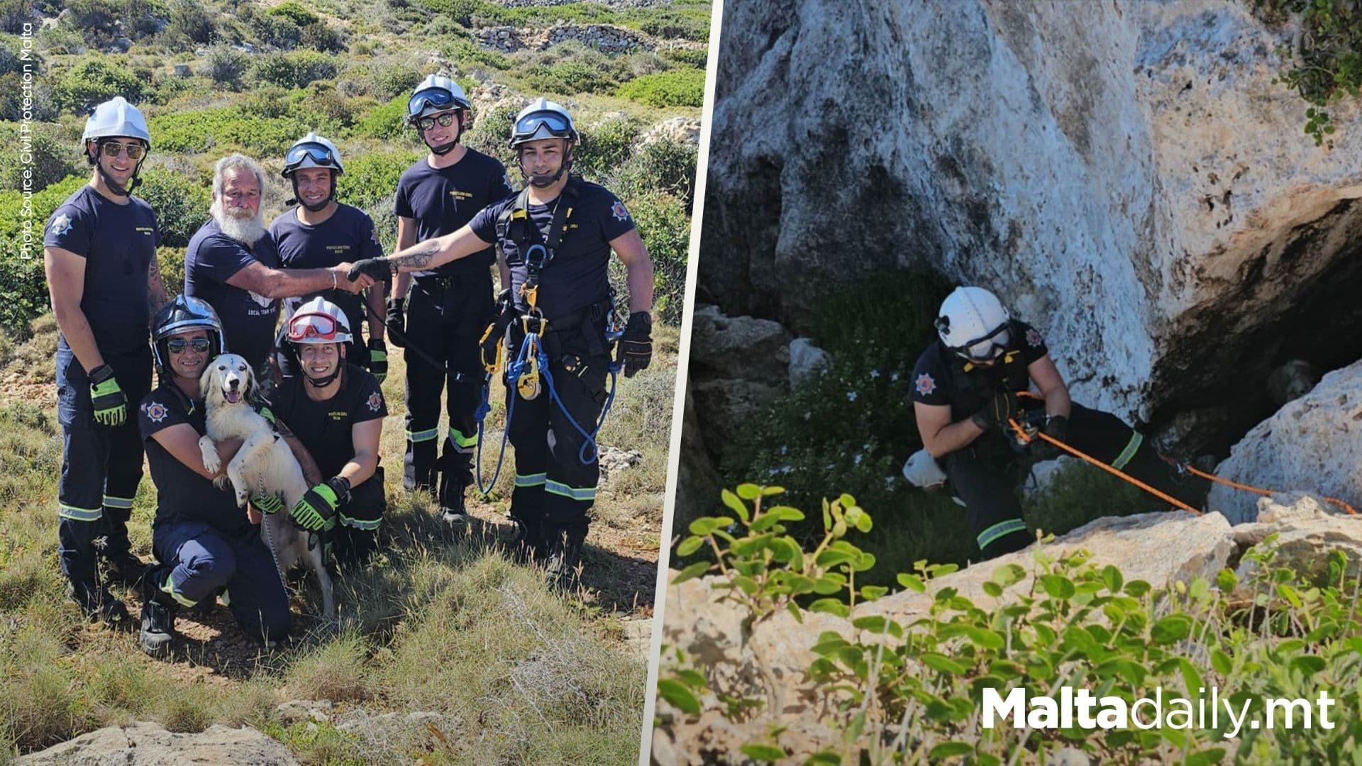 Dog Rescued After Falling From Cliff In Mellieħa