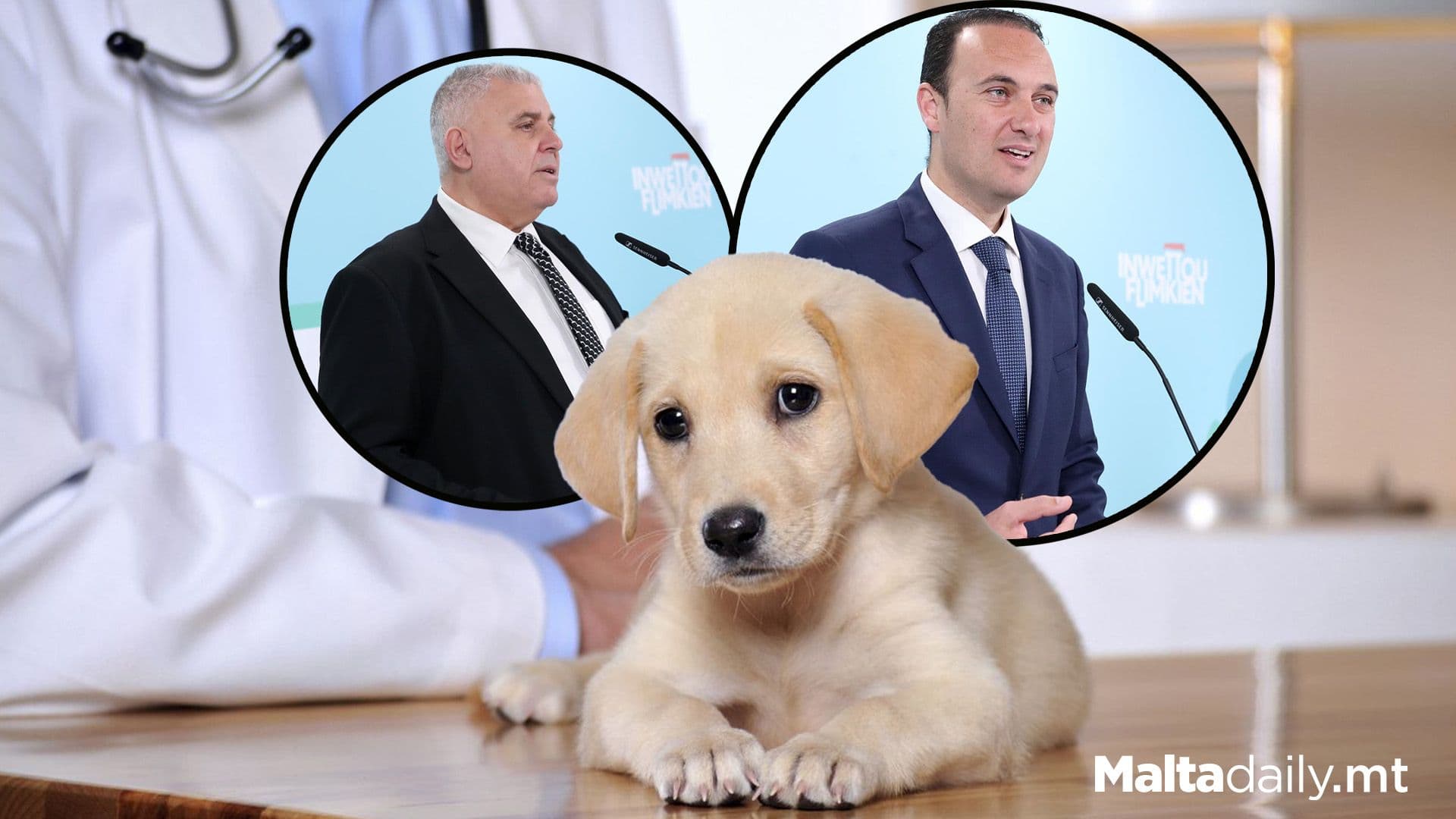 Ta’ Qali Animal Hospital To Reopen With Veterinary Course