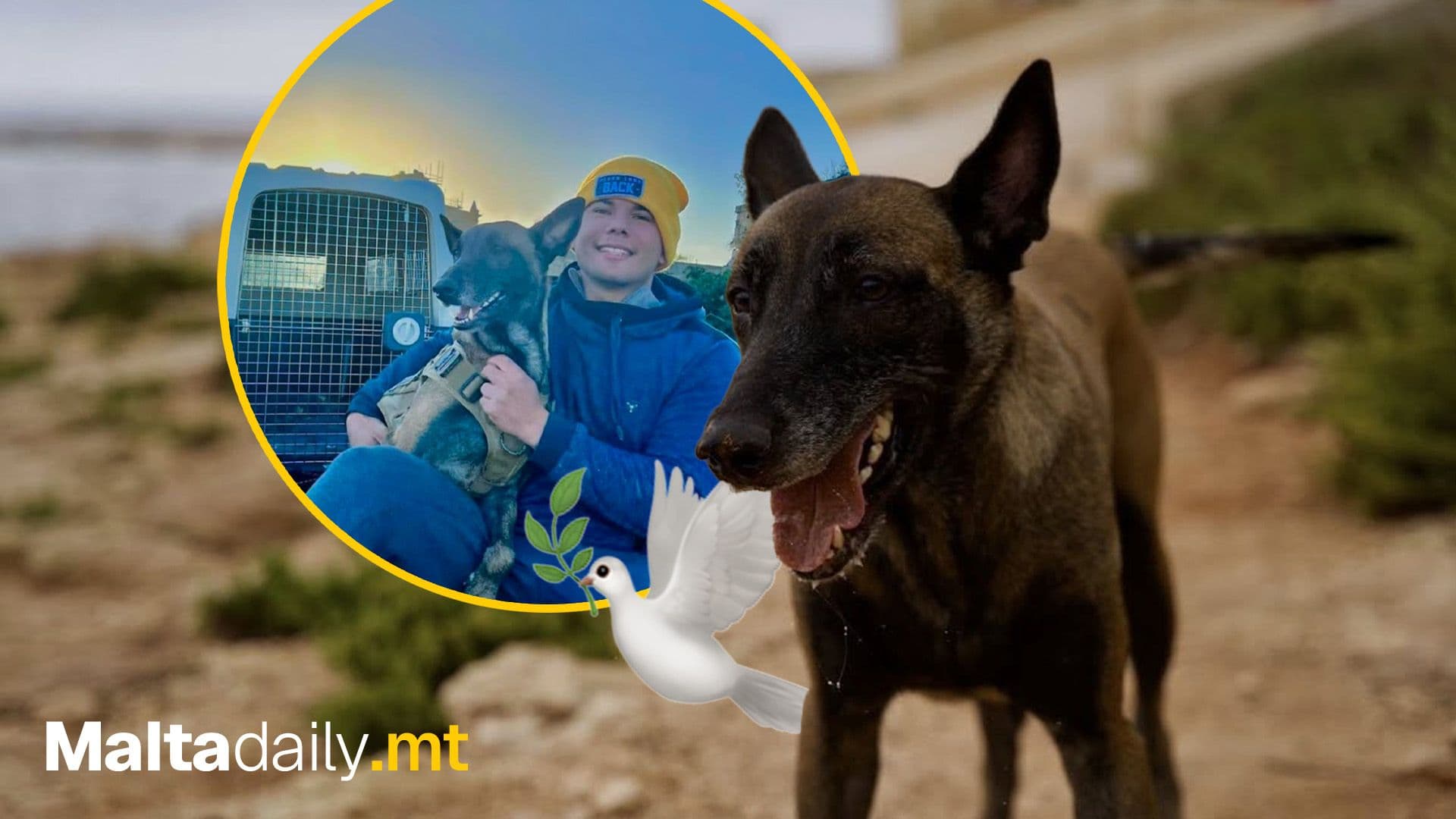 Dog Dies After Allegedly Being Denied Help At Vet