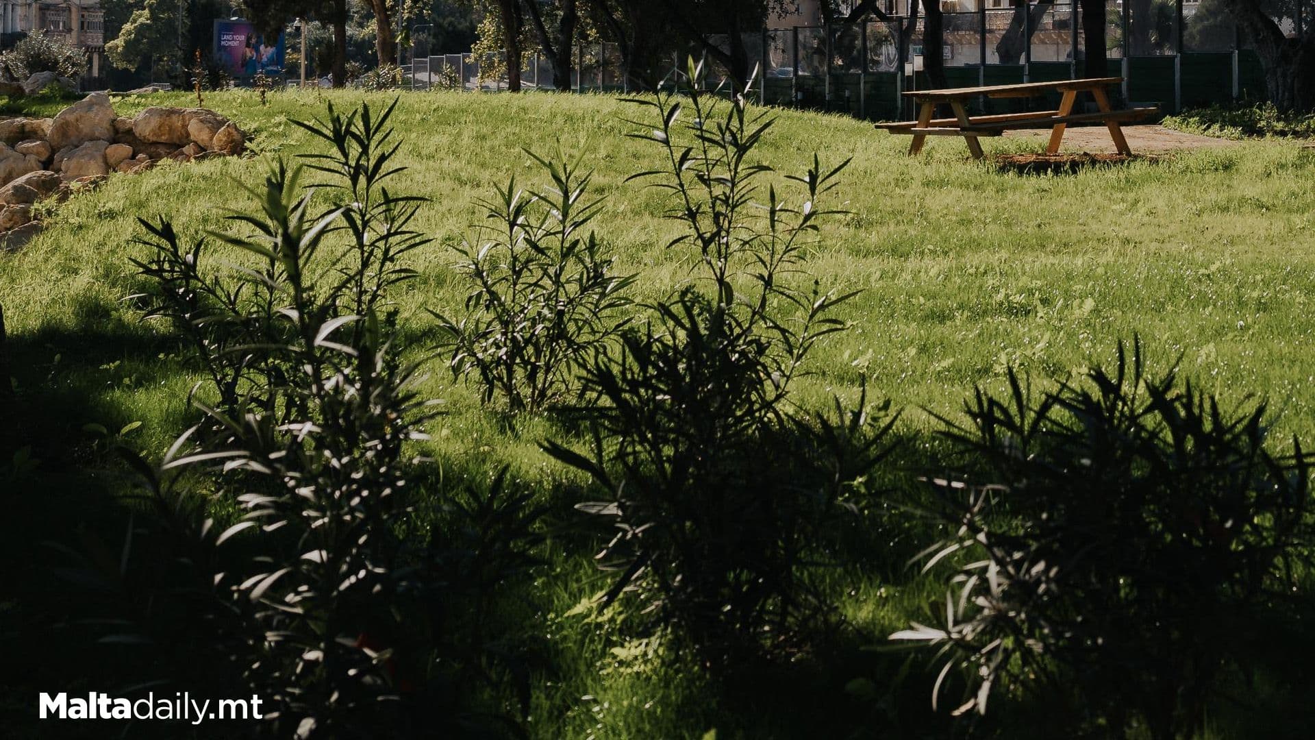 83% Of Enemalta Owned Land In Qajjenza To Be Turned Into Open Public Spaces