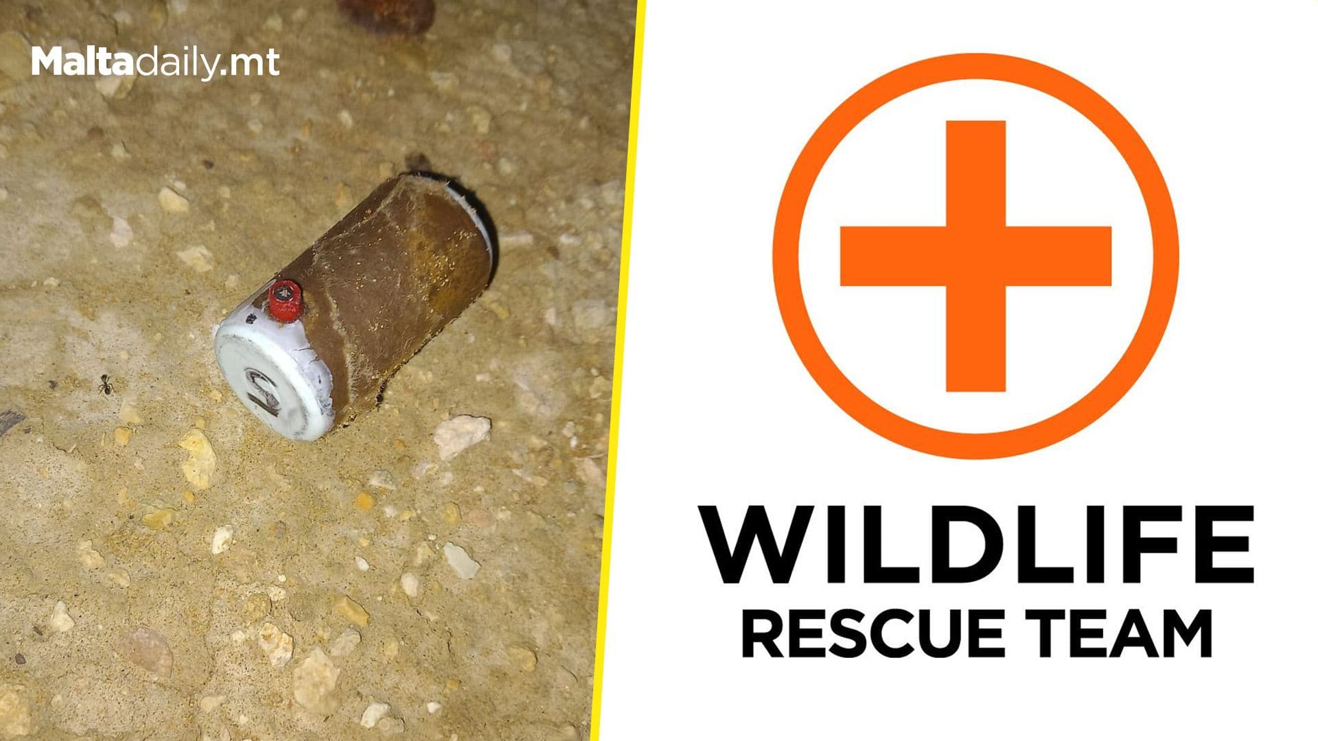 Wildlife Rescue Team Malta Finds Small Bomb In Għajn Tuffieħa