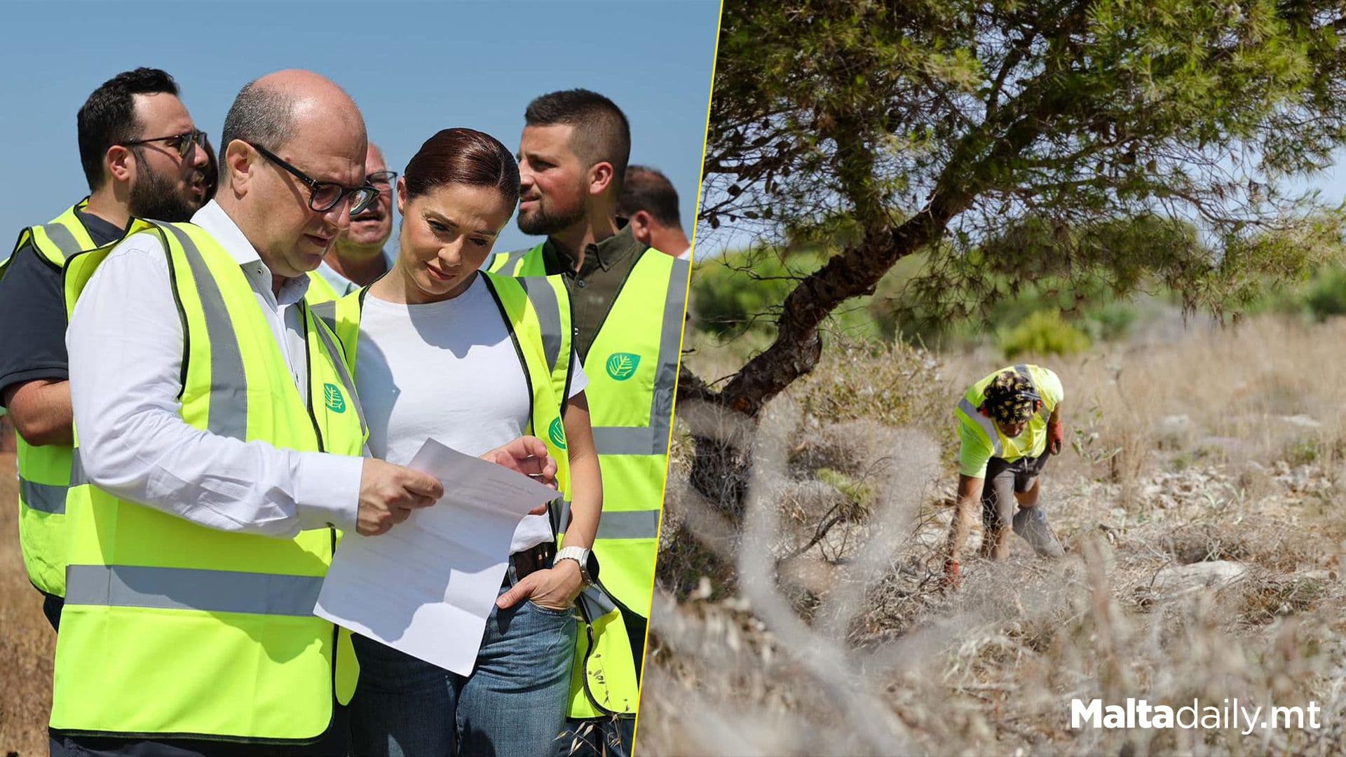 Project Silva Green Pathways: Restoring Malta’s Forests In Aħrax Ta’ Ġewwa And Miżieb
