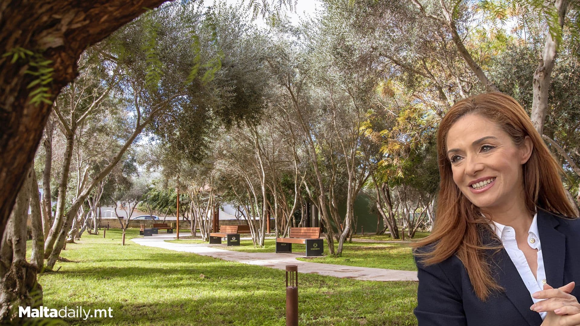 Over 44,000 Trees, 49,000 Shrubs Planted Up Until 2024