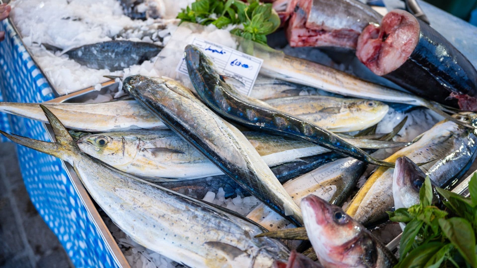 Thousands Attend Latest Festa Ħut Edition