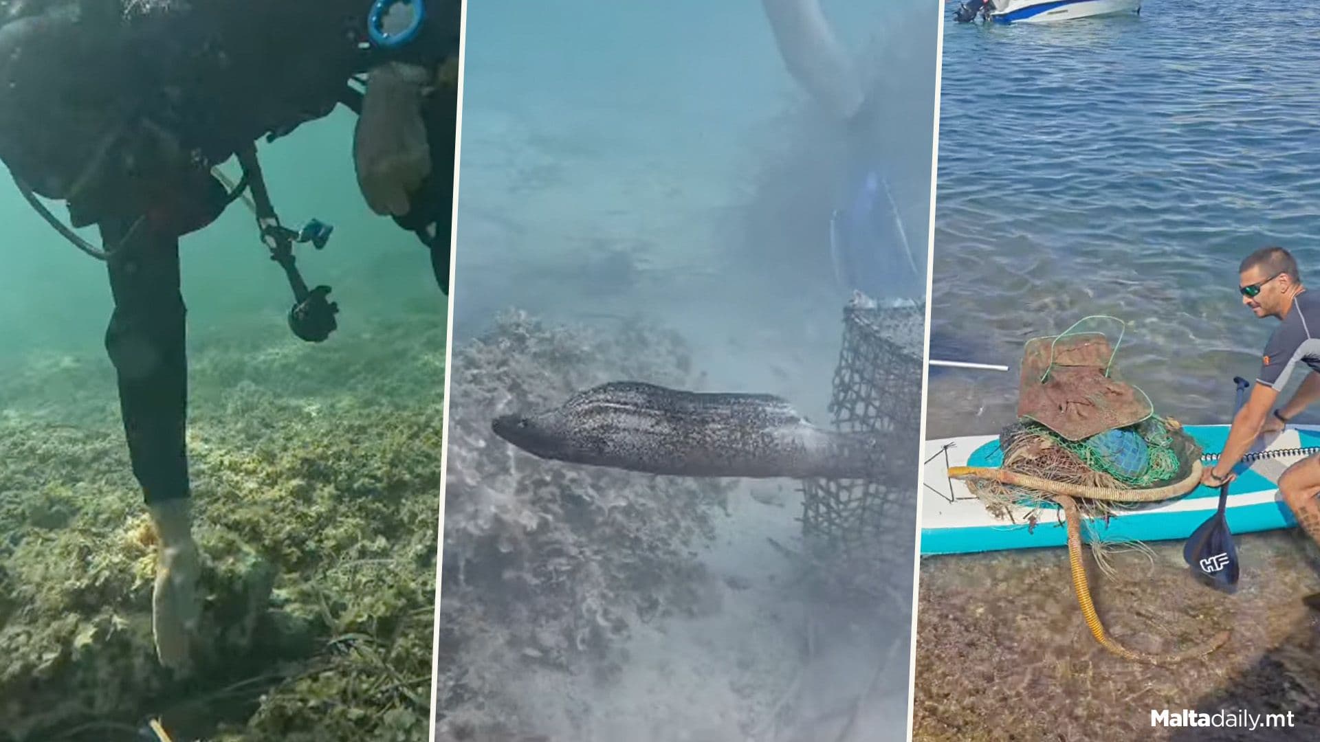 Marine Life Rescued During Xemxija Sea Clean-Up