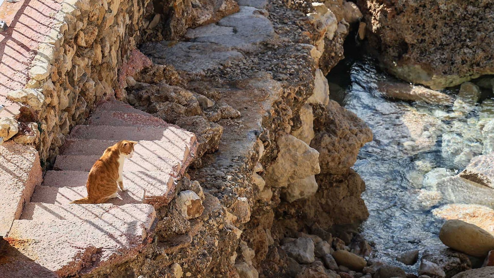 The Aftermath Of Storm Harry Damages To Għar Lapsi