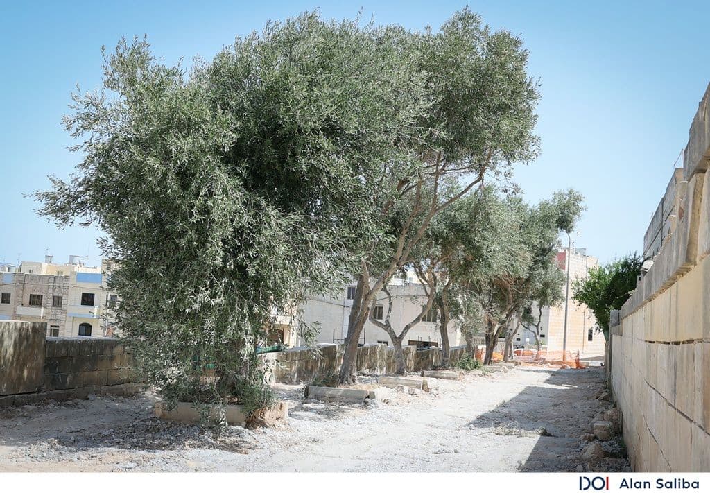 Żurrieq’s Nigret Belvedere Undergoes Transformation Into Community Space