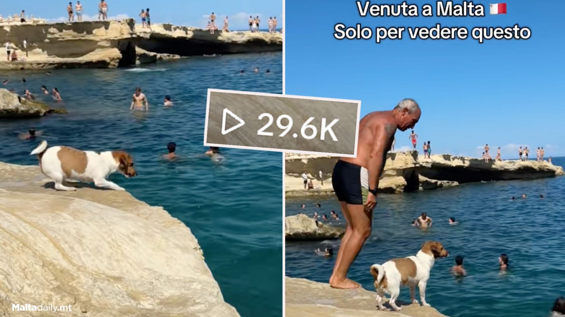 Italian Fulfils Dream Of Watching Tina Dive With Owner