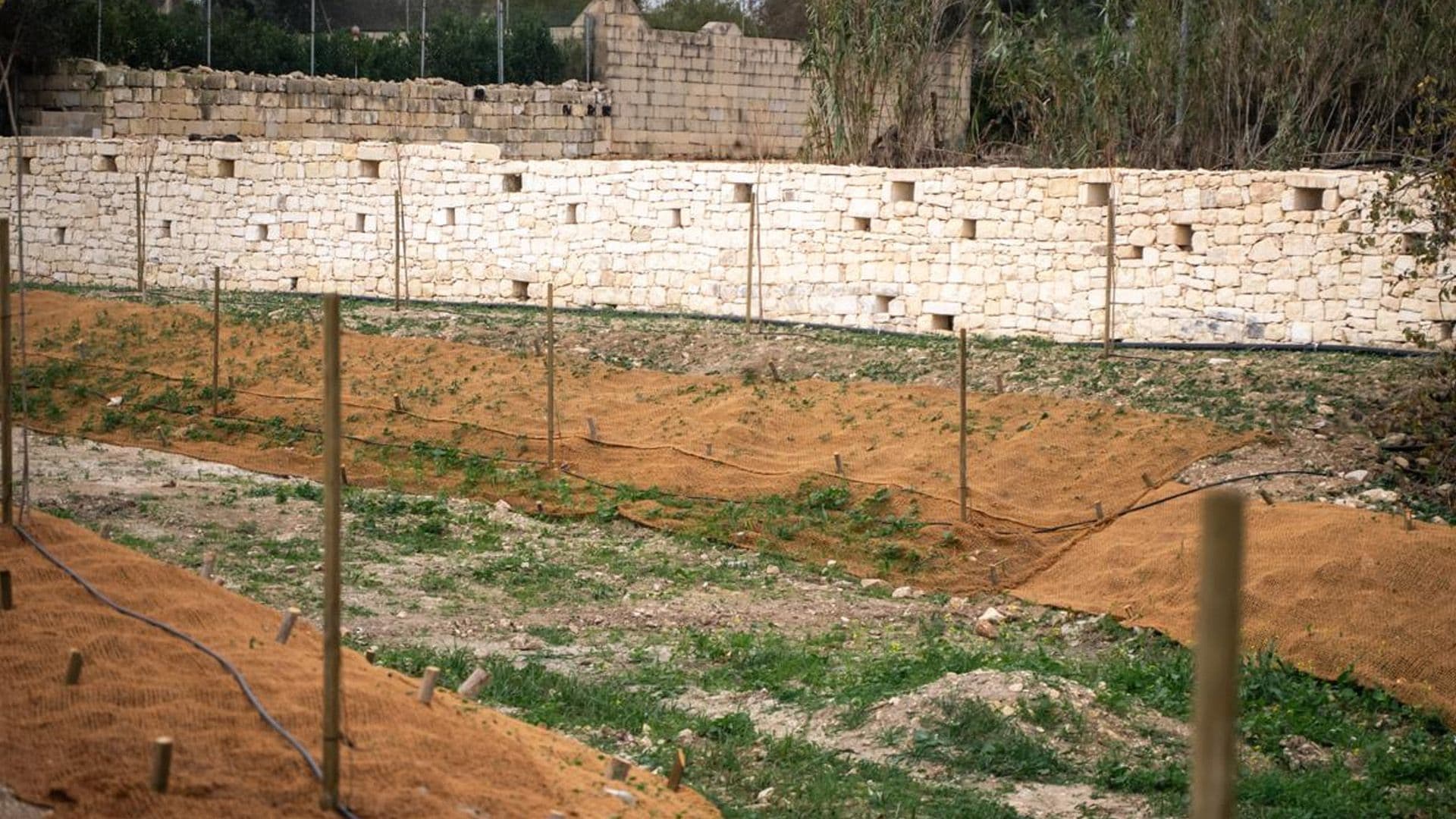 Wied Speranza Major Environmental Rehabilitation Complete