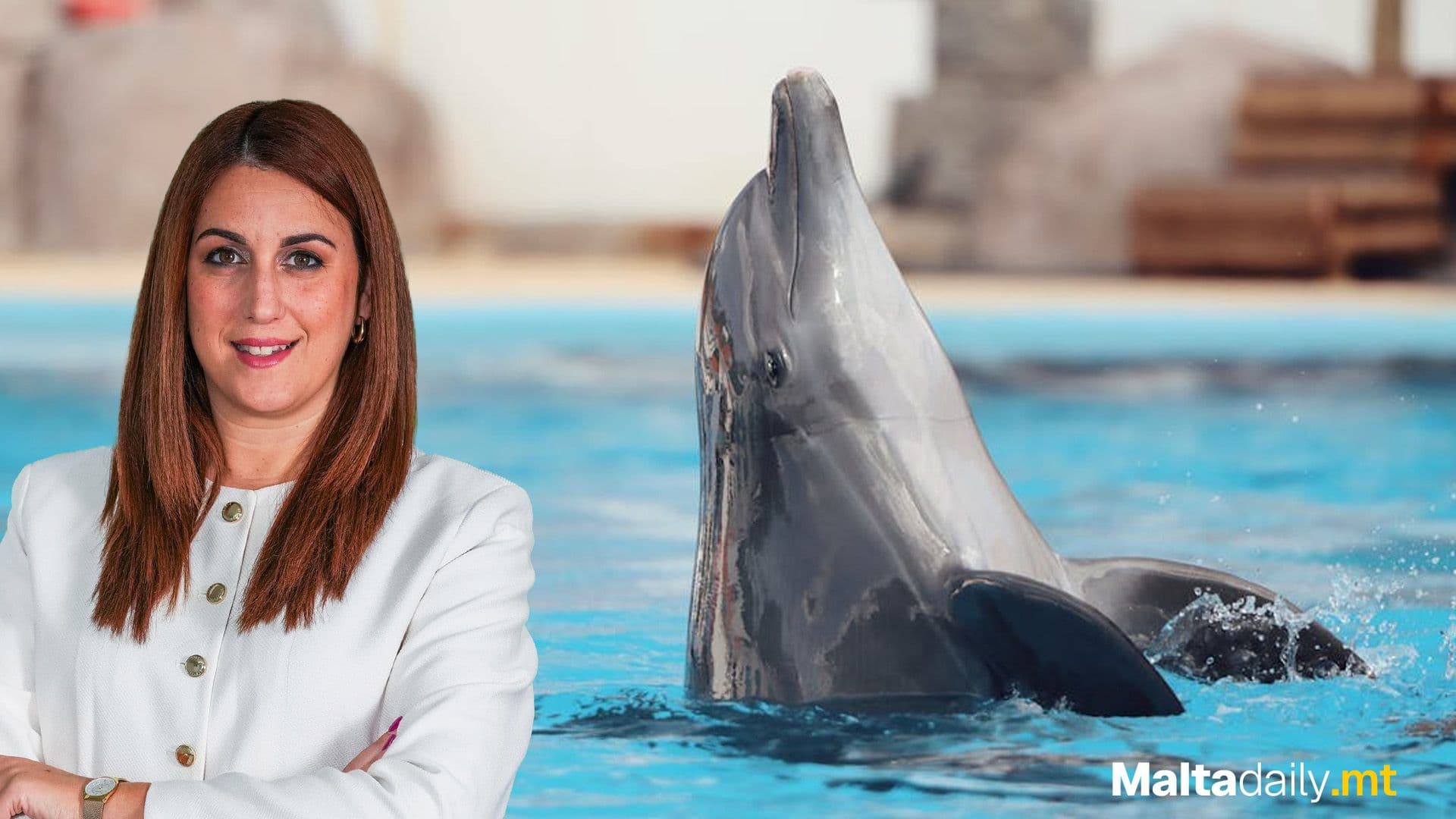 Investigation Into Conditions At Mediterraneo Marine Park