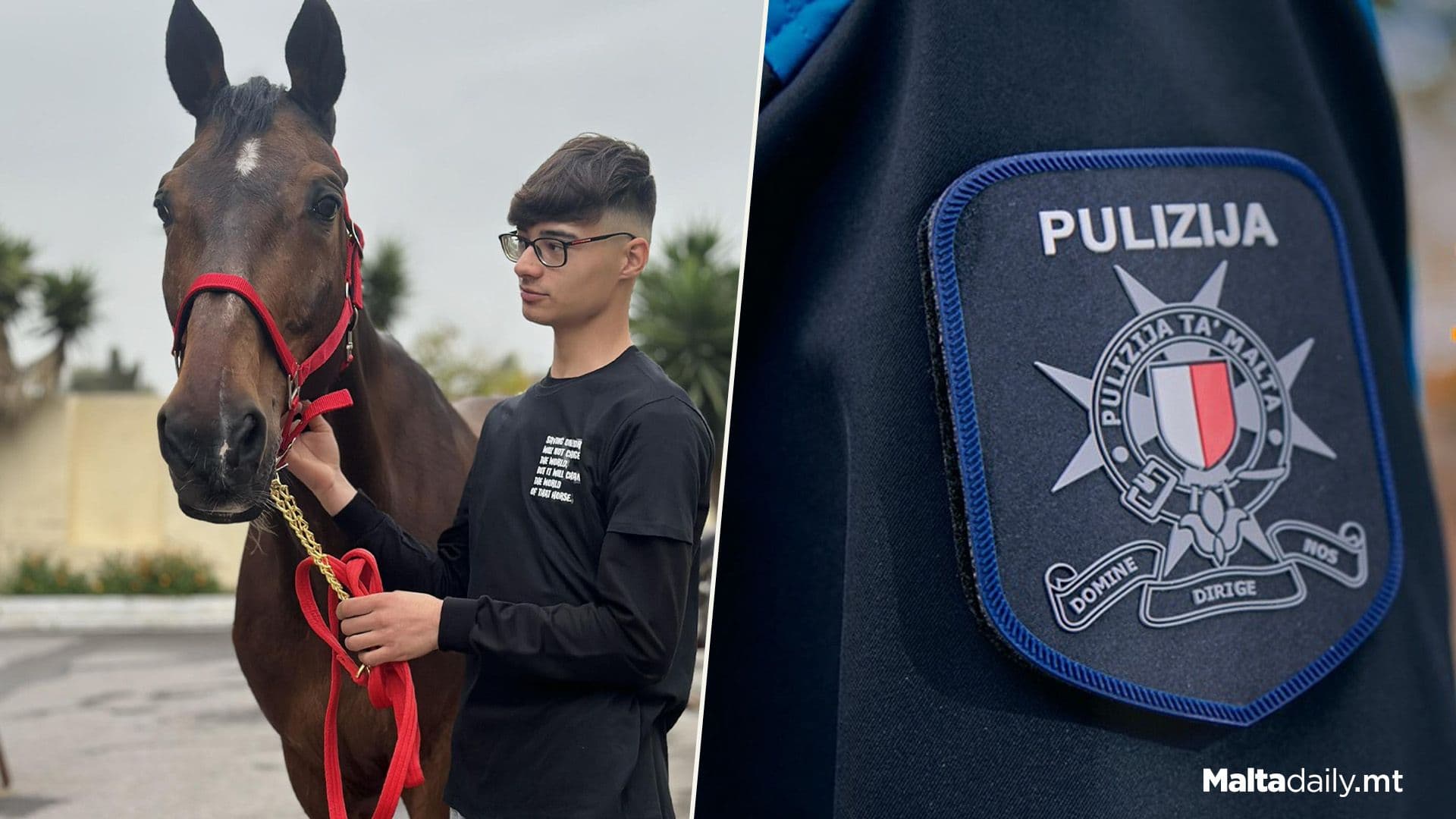 Horse Retires After Years Of Service With Malta Police